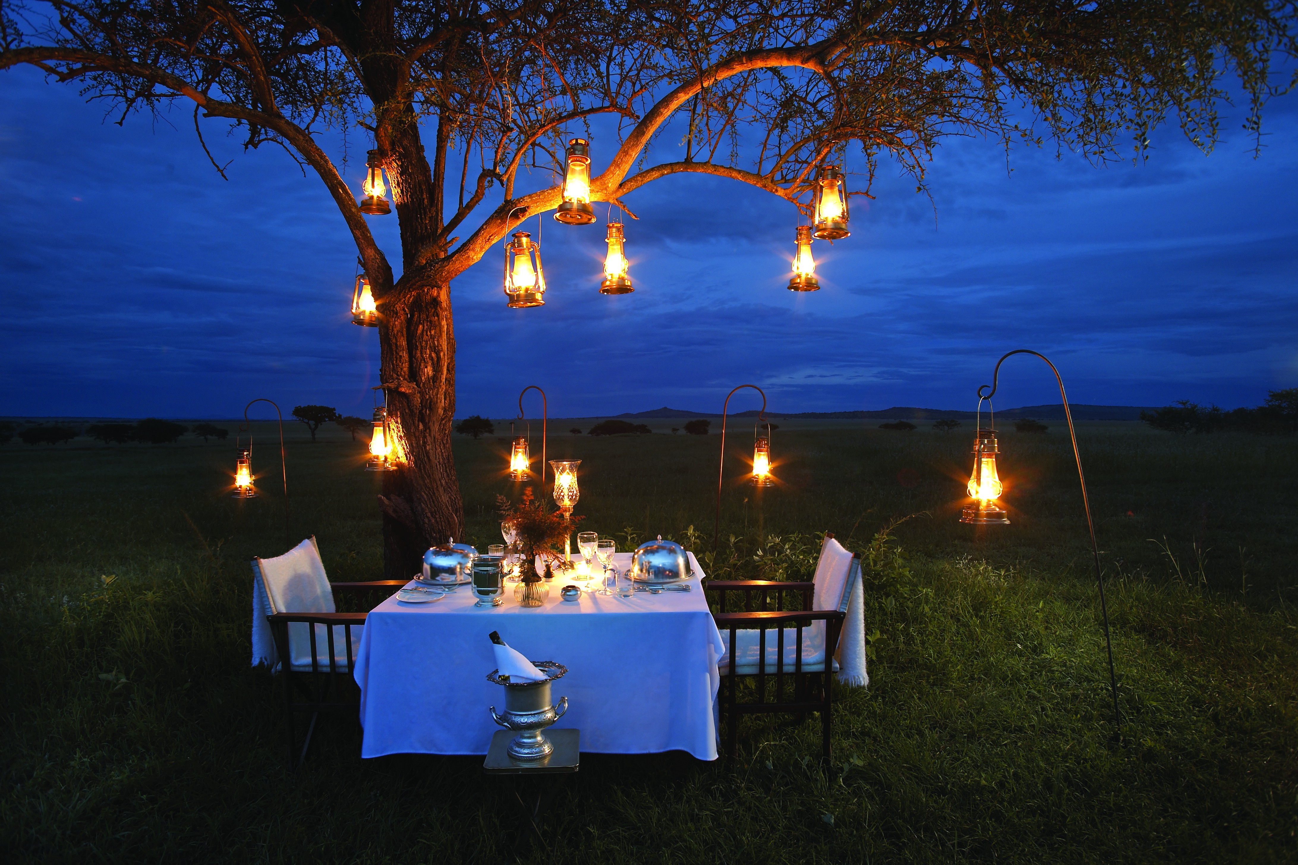 Free photo Table for Two on the Evening Field