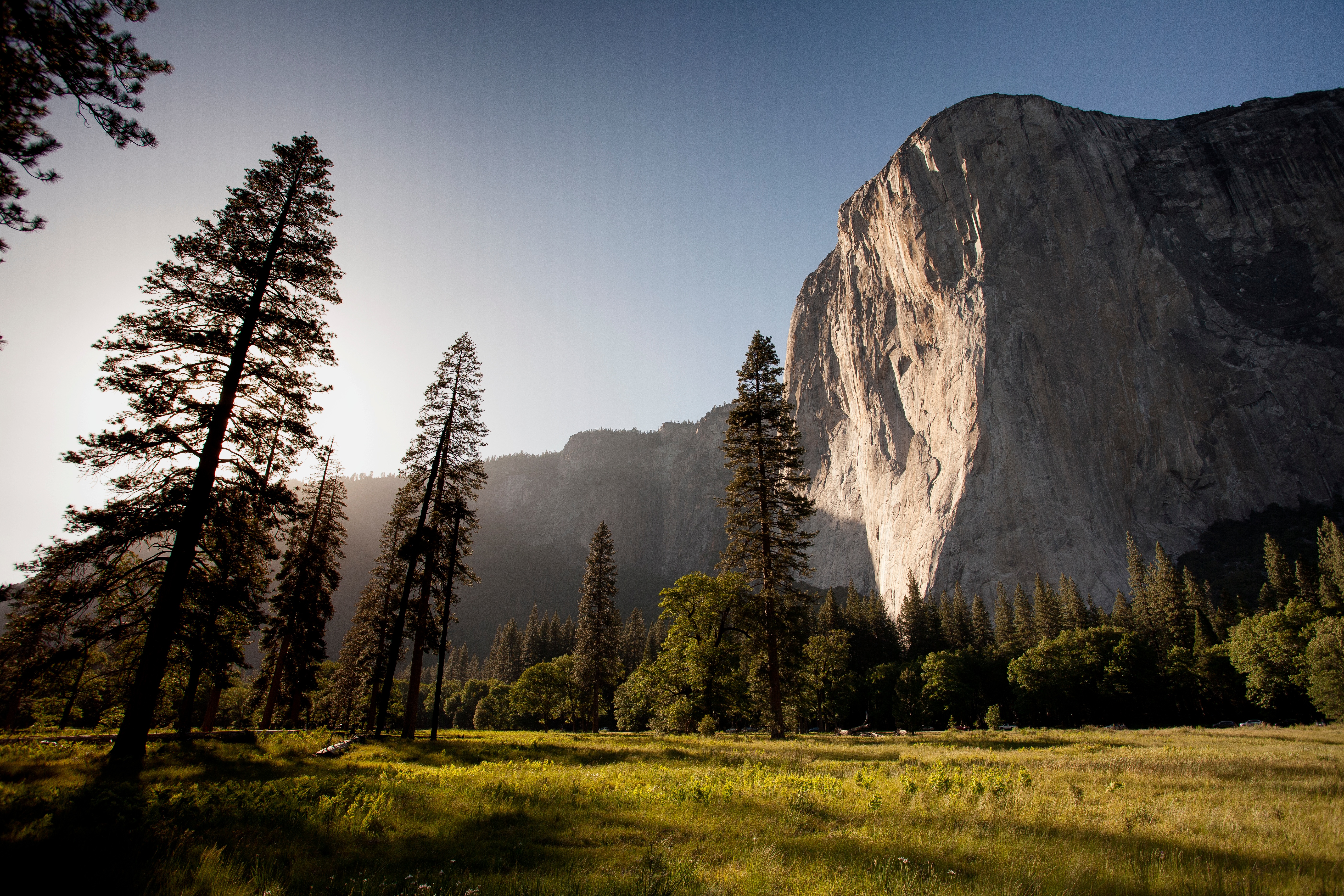 Free photo A high mountain separating the forest