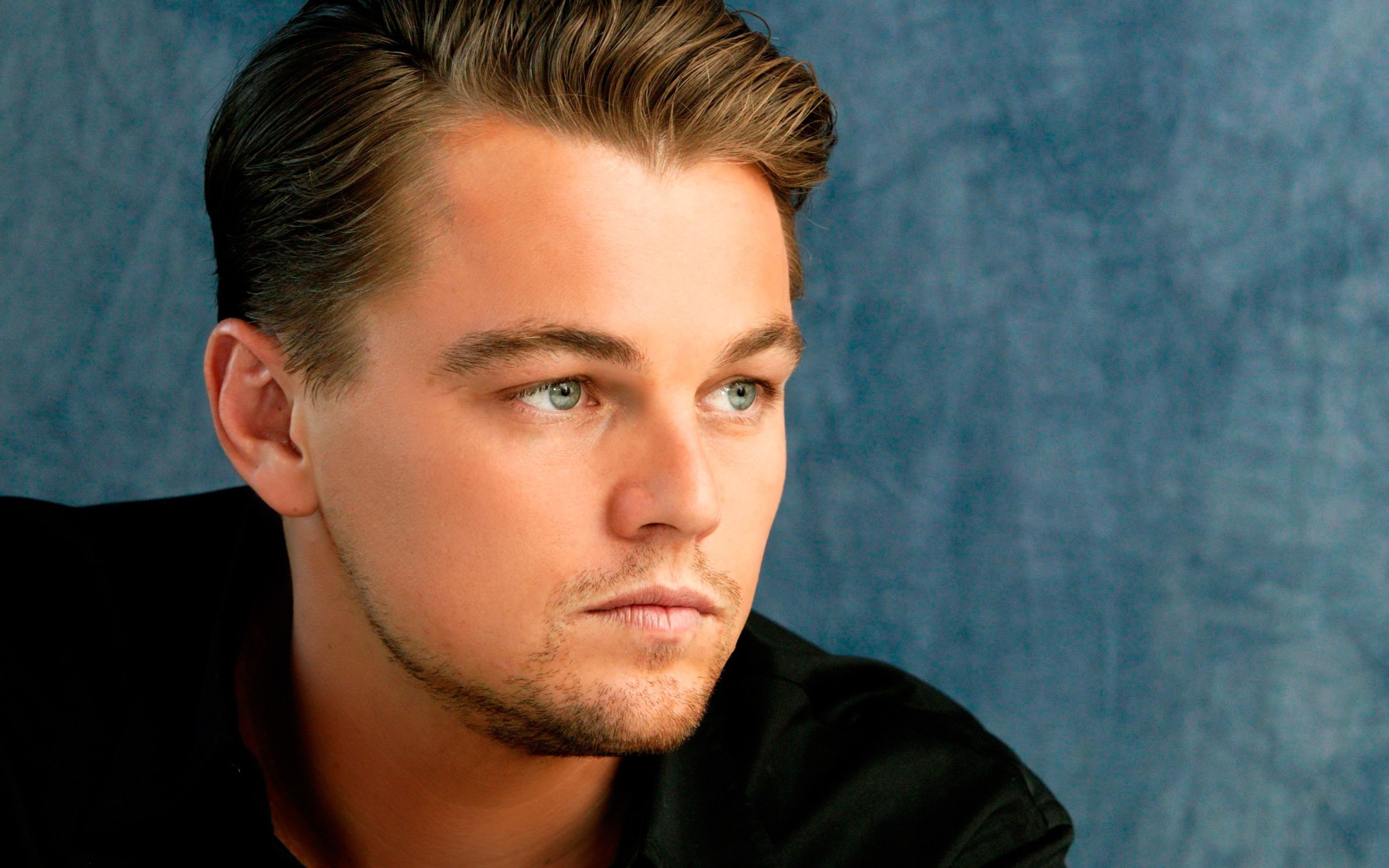 Wallpapers leonardo dicaprio actor face portrait on the desktop