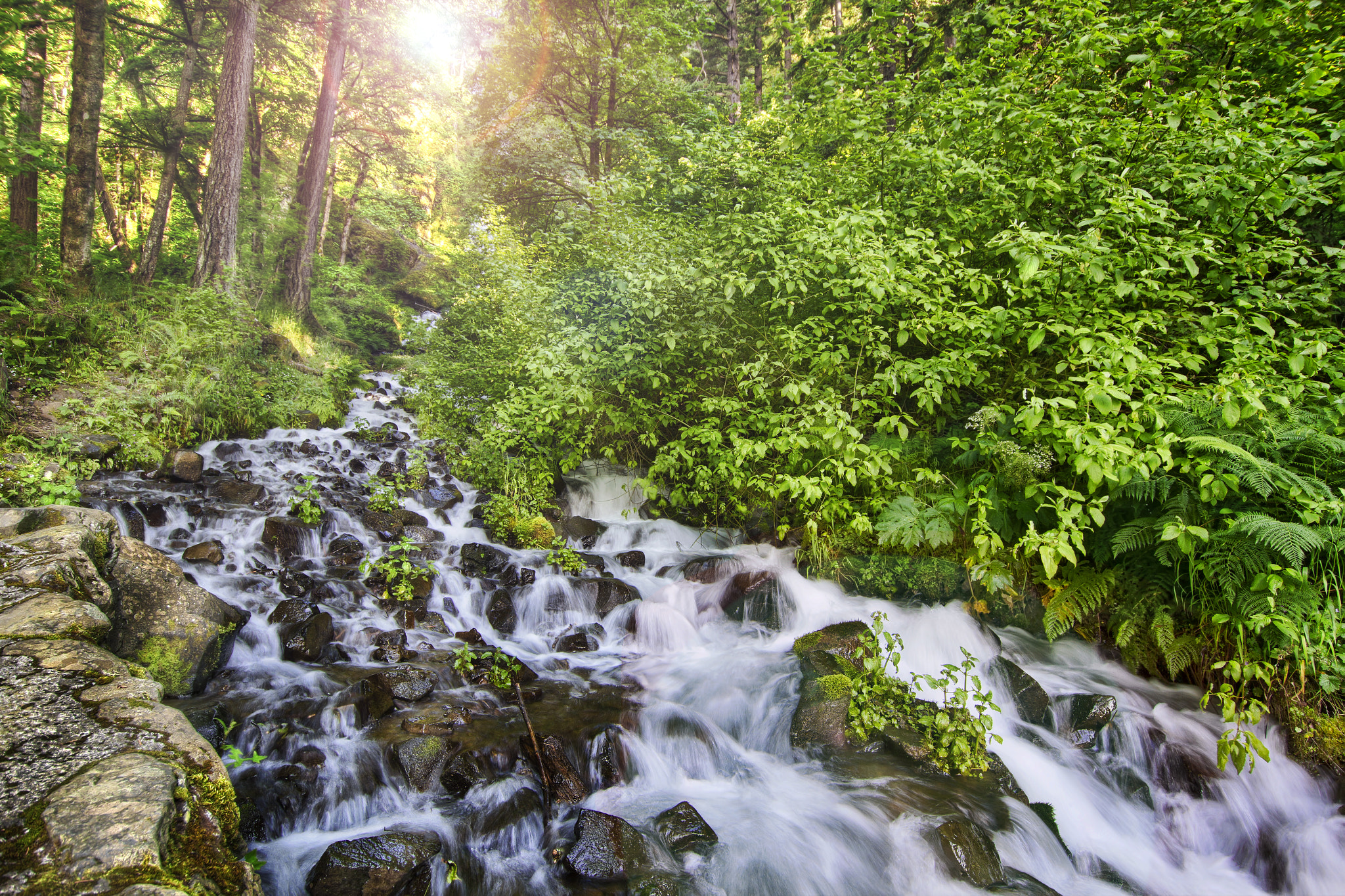 Обои Wahkeena Creek by Old Columbia River Gorge Oregon водопад на рабочий стол