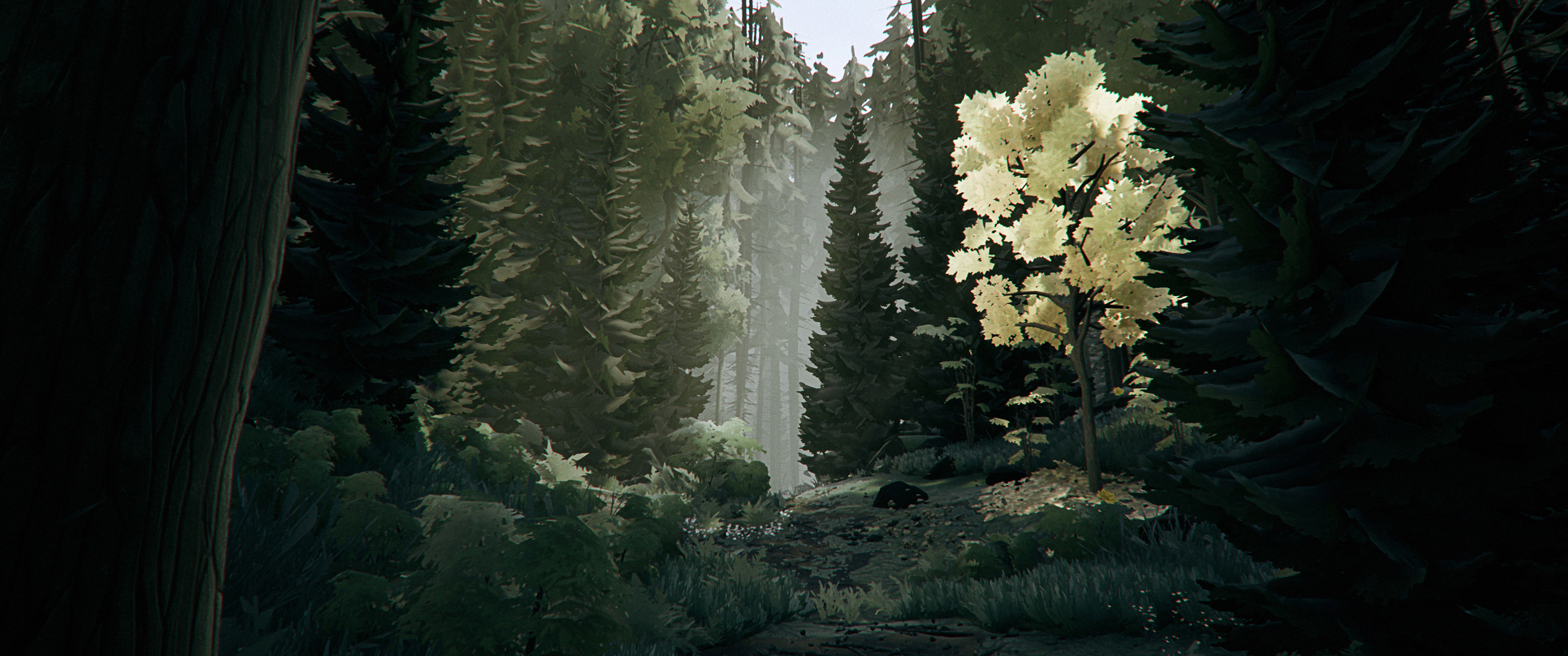 Обои обои лес деревья выживание на рабочий стол