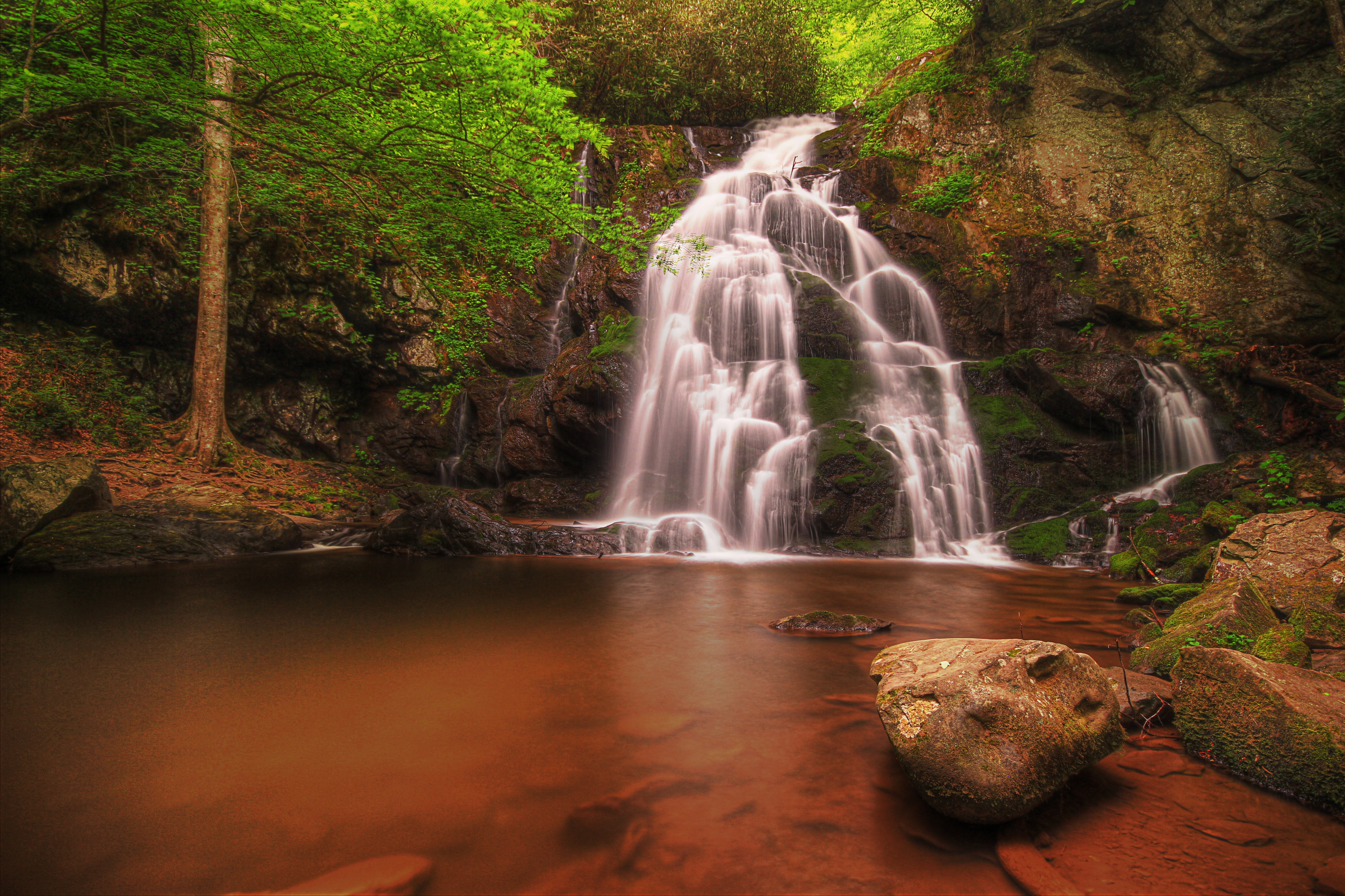 Free photo Great Smoky Mountains National Park