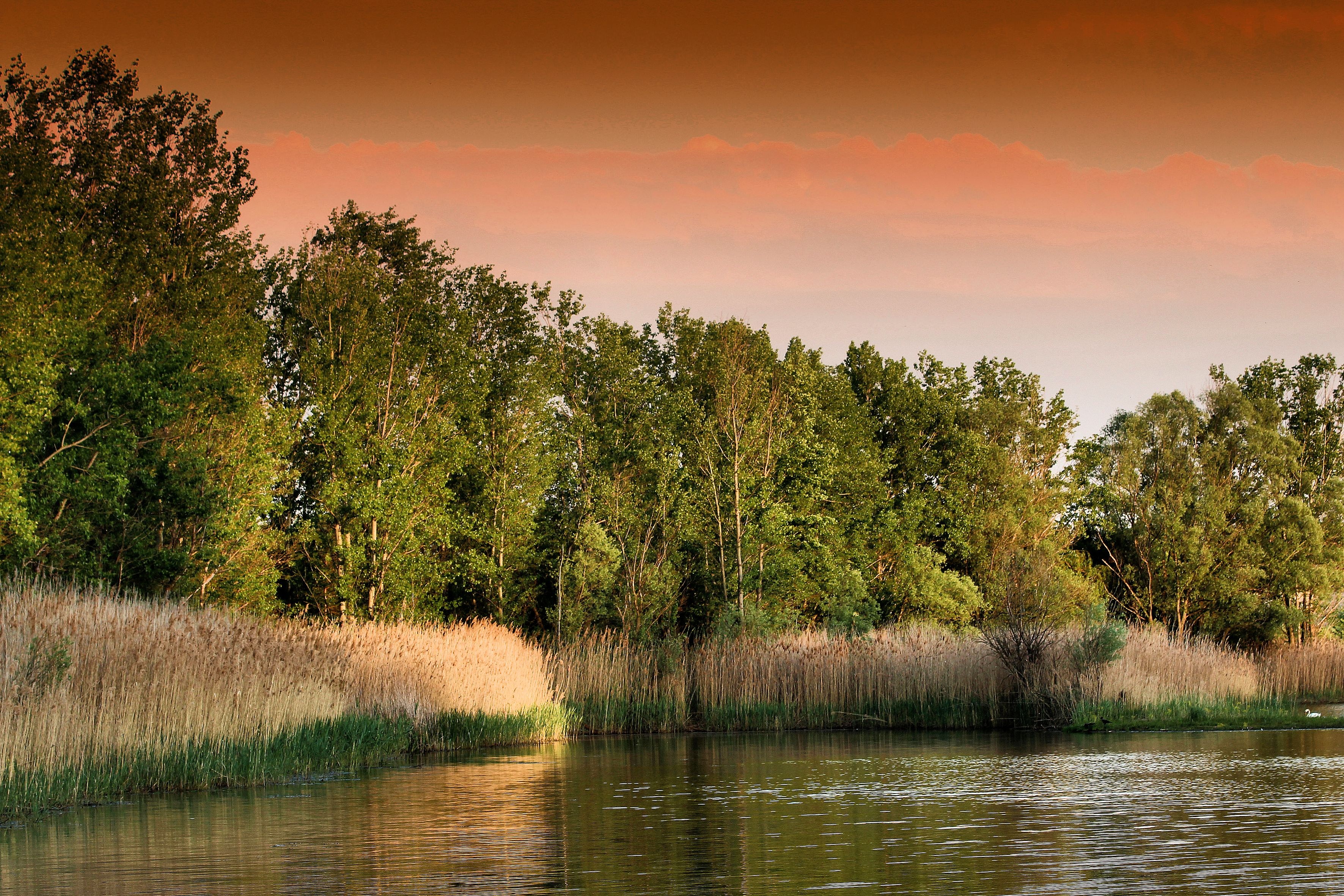 Free photo Morning on the river