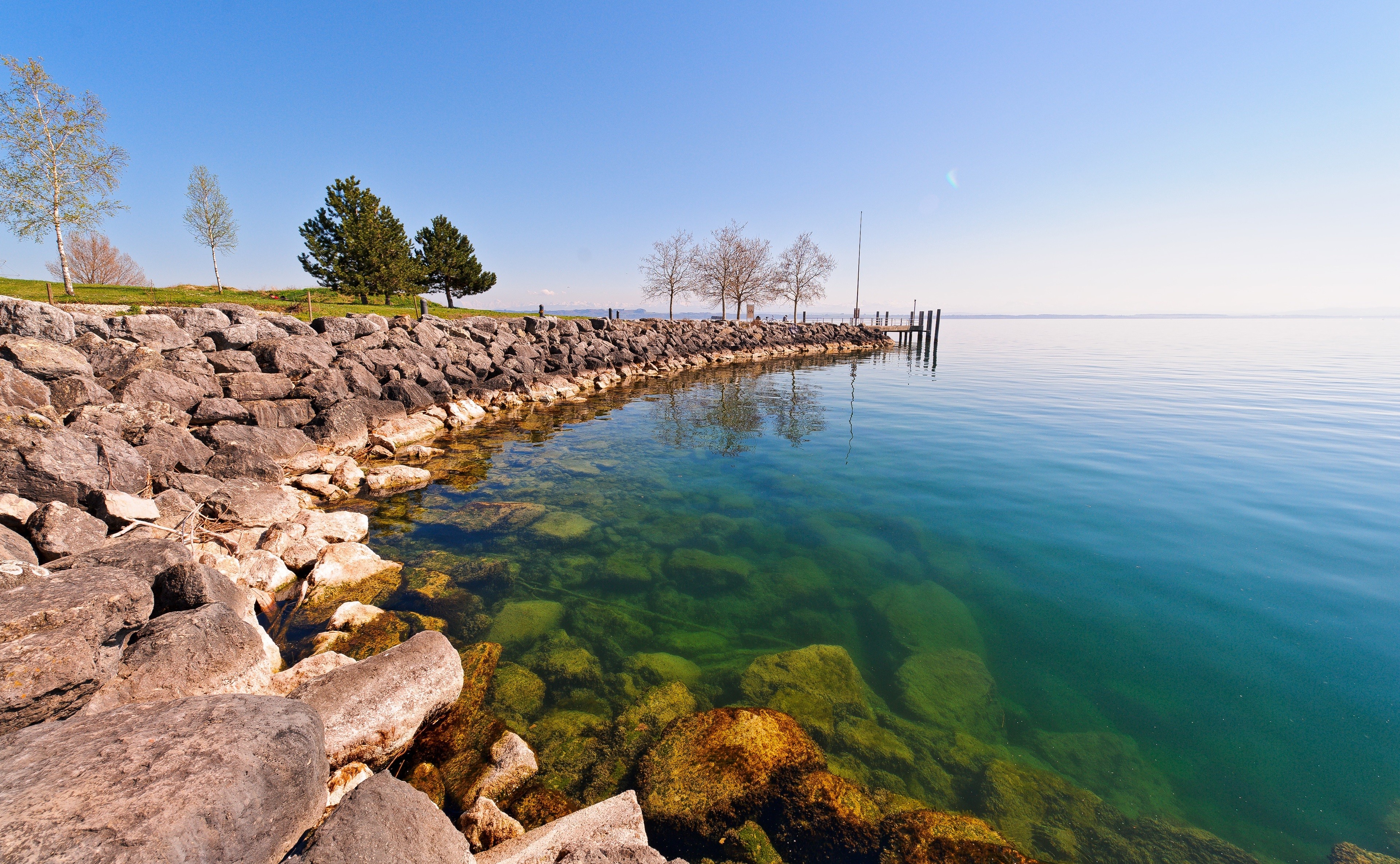 Бесплатное фото Летний день на берегу