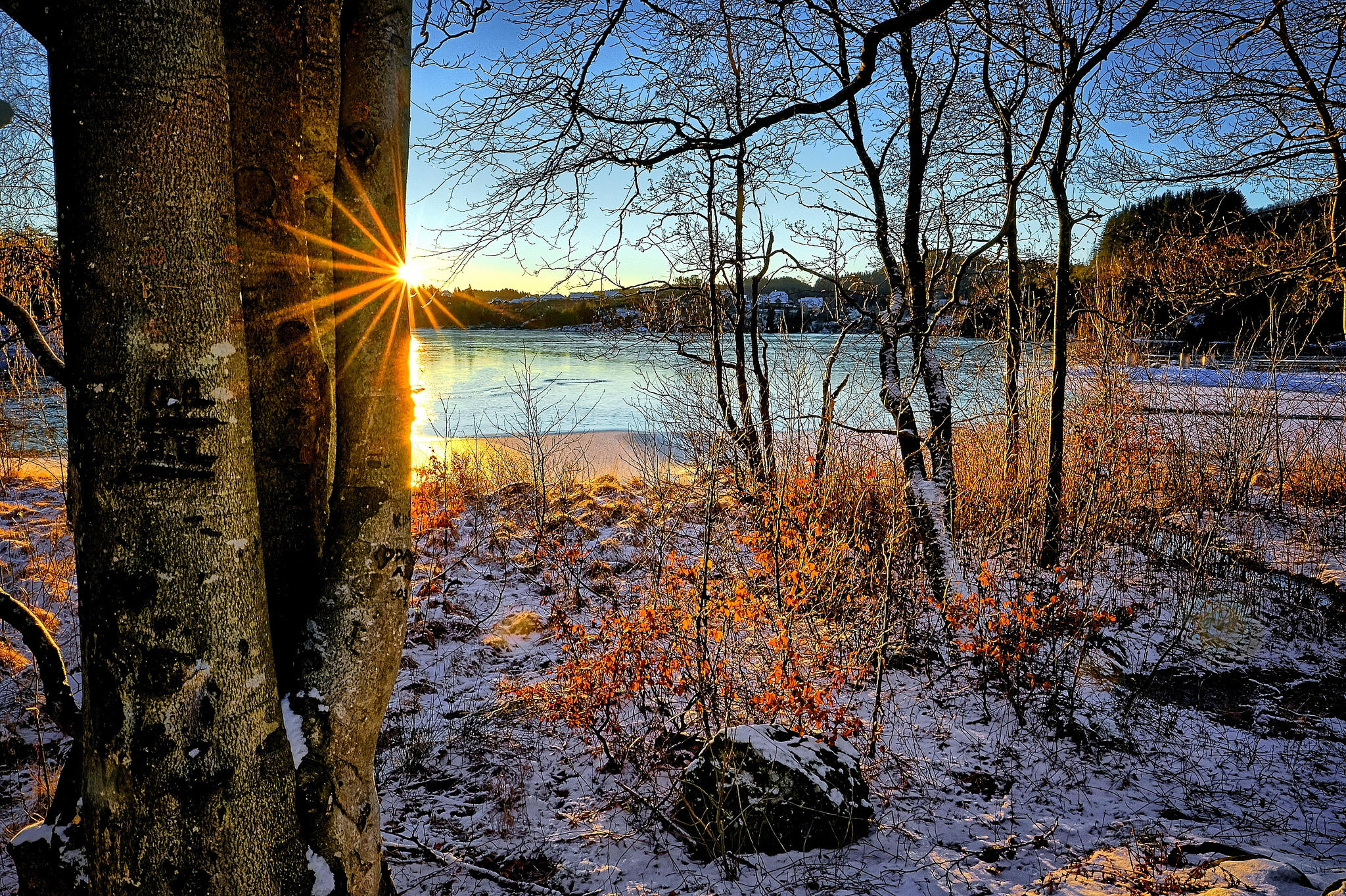 夕阳下河畔秋林的第一场雪