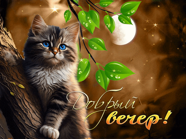 Бесплатная открытка Ктенок желает доброго вечера