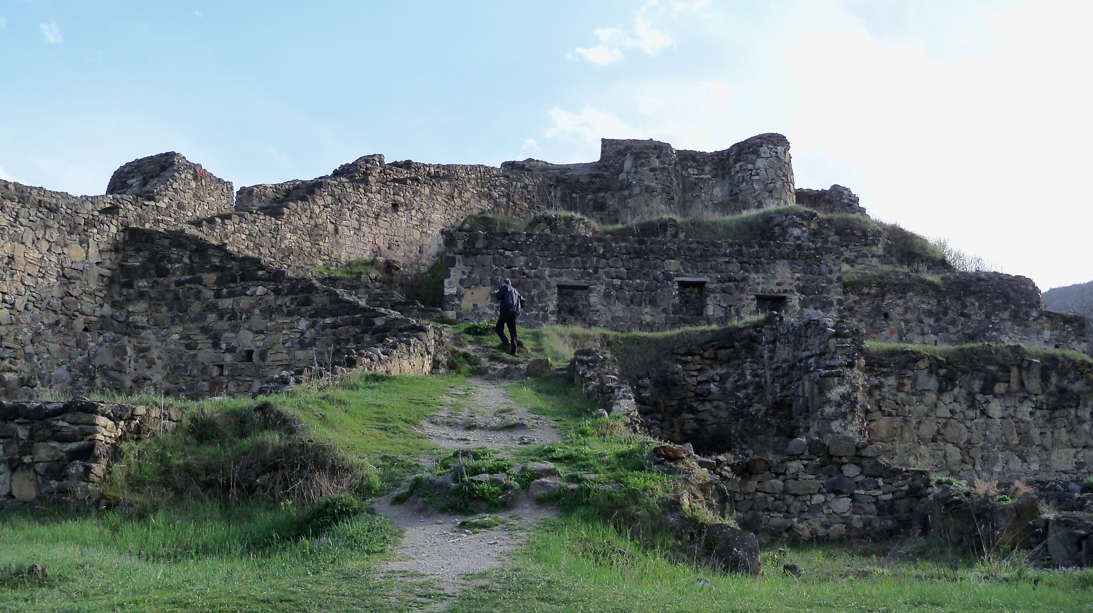 Бесплатное фото Дманиси 3