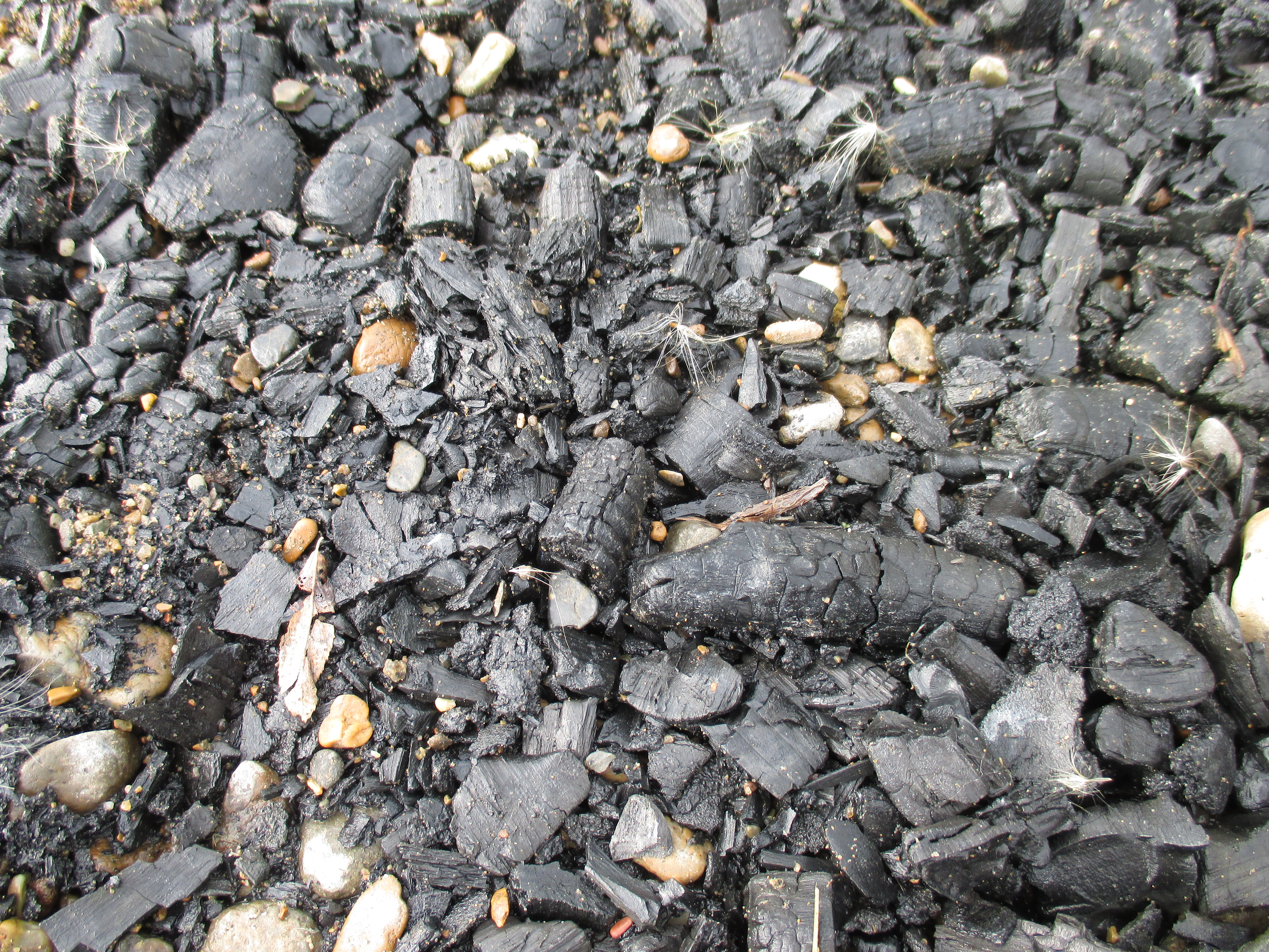 Бесплатное фото УУУггглллиии