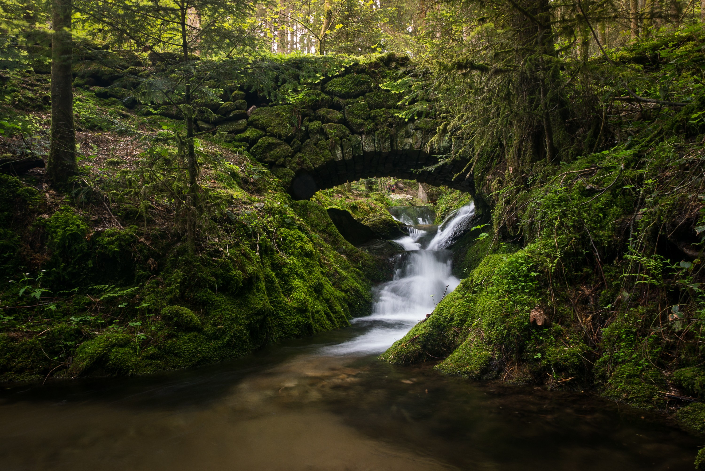 Free photo A small waterfall under a bridge in a green forest.