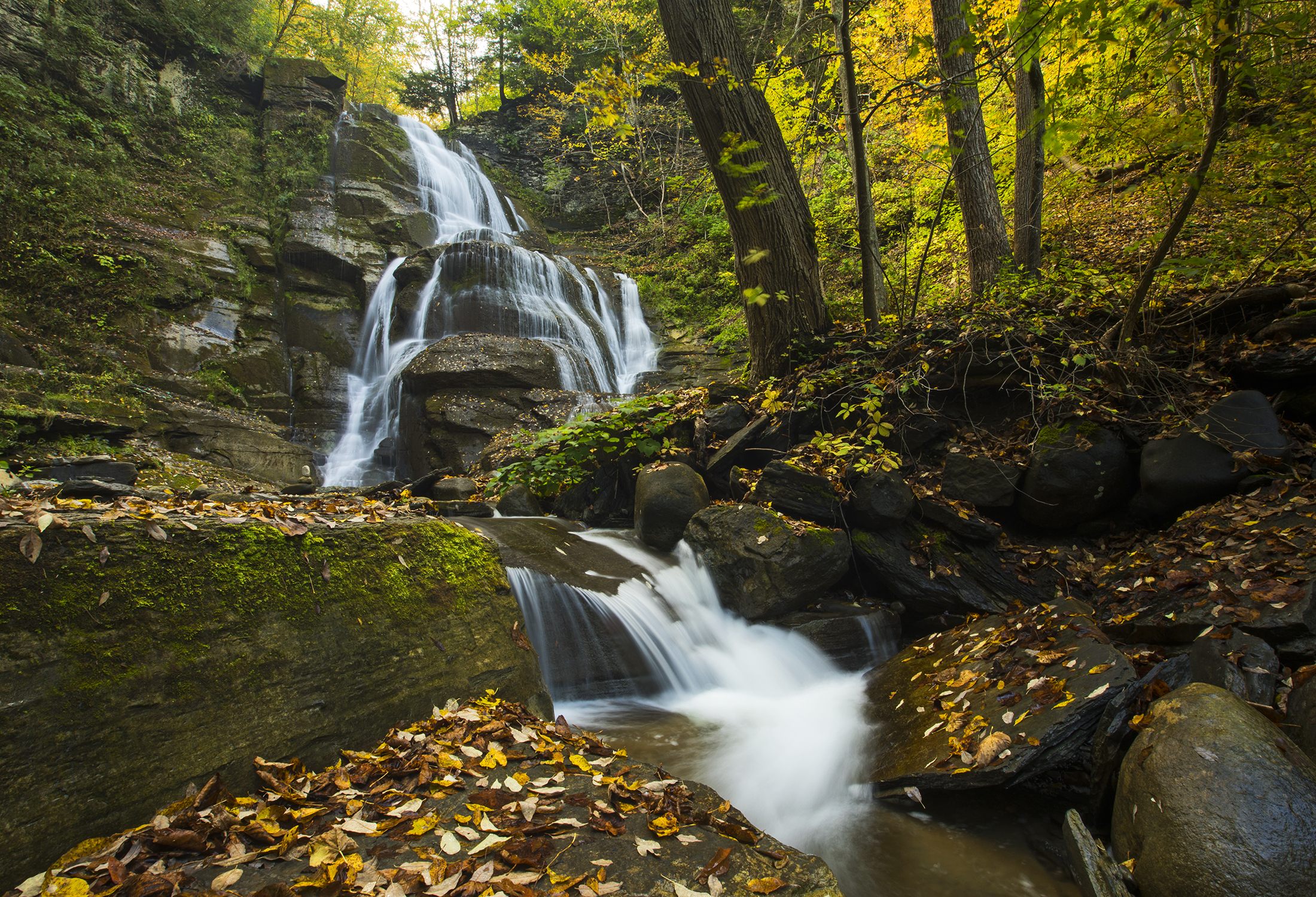 Free photo Nature and waterfall