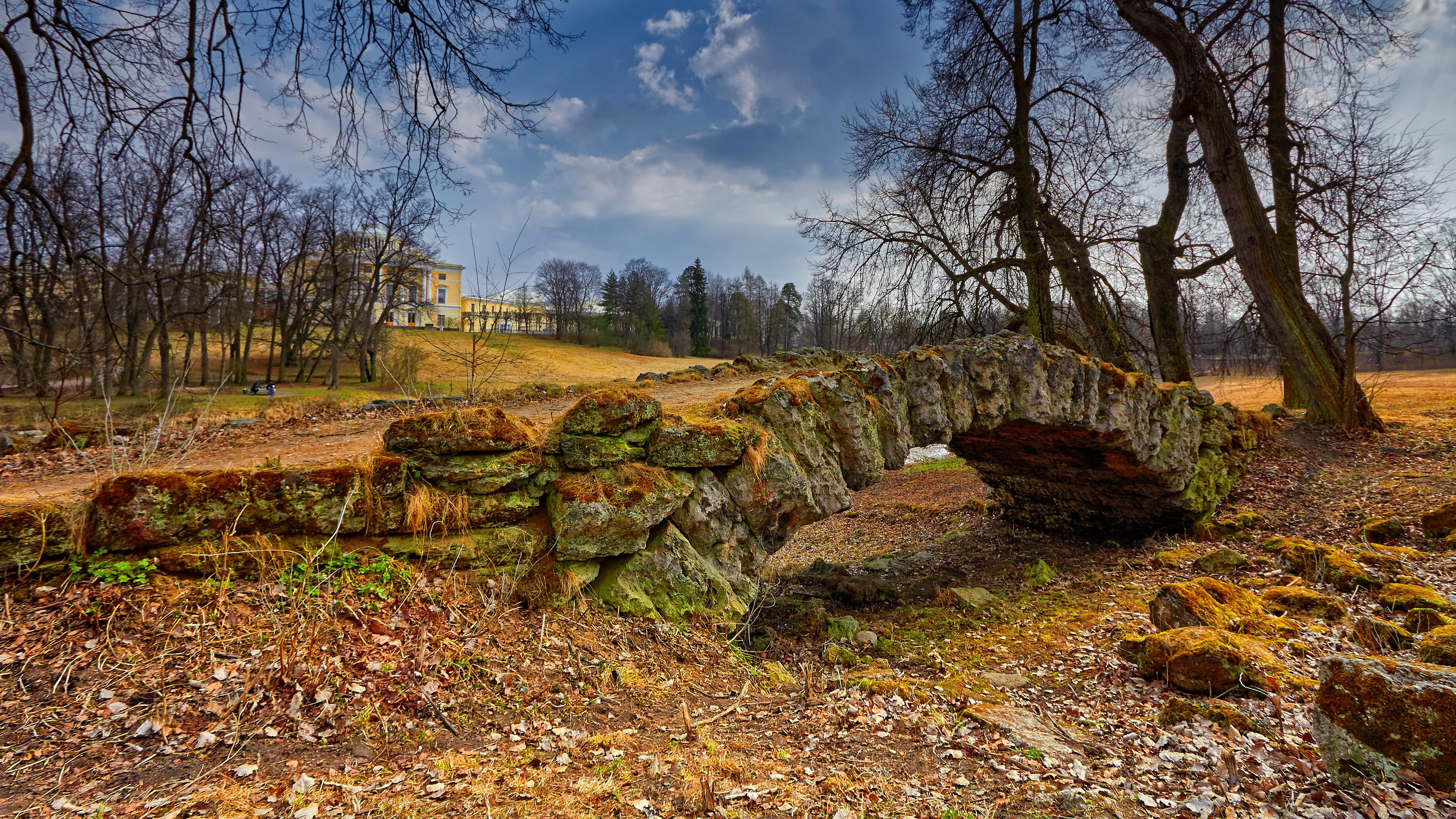 Free photo Photos pavlovsk park, st. petersburg on the phone