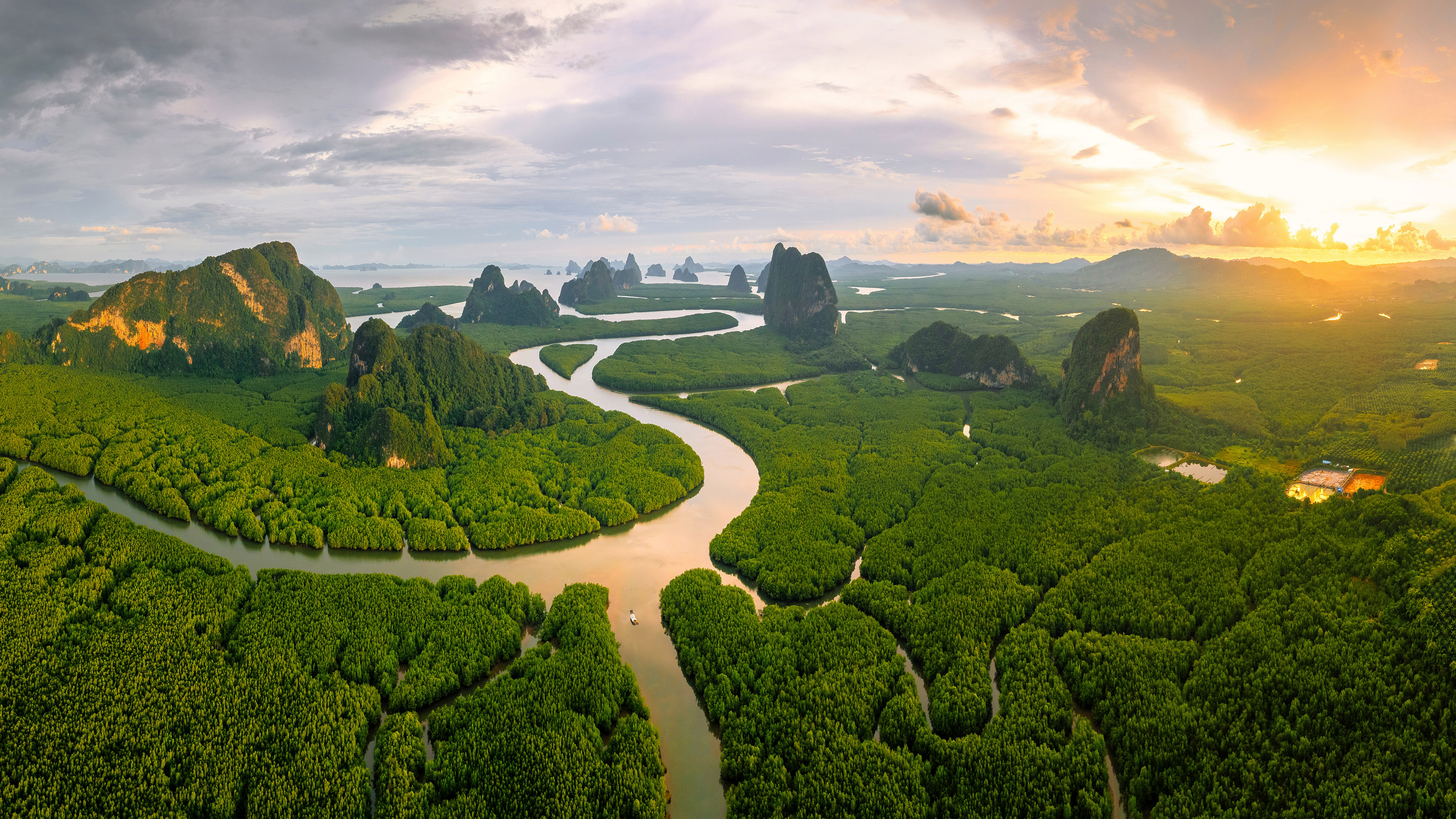 Free photo Trees grow on a river in Thailand