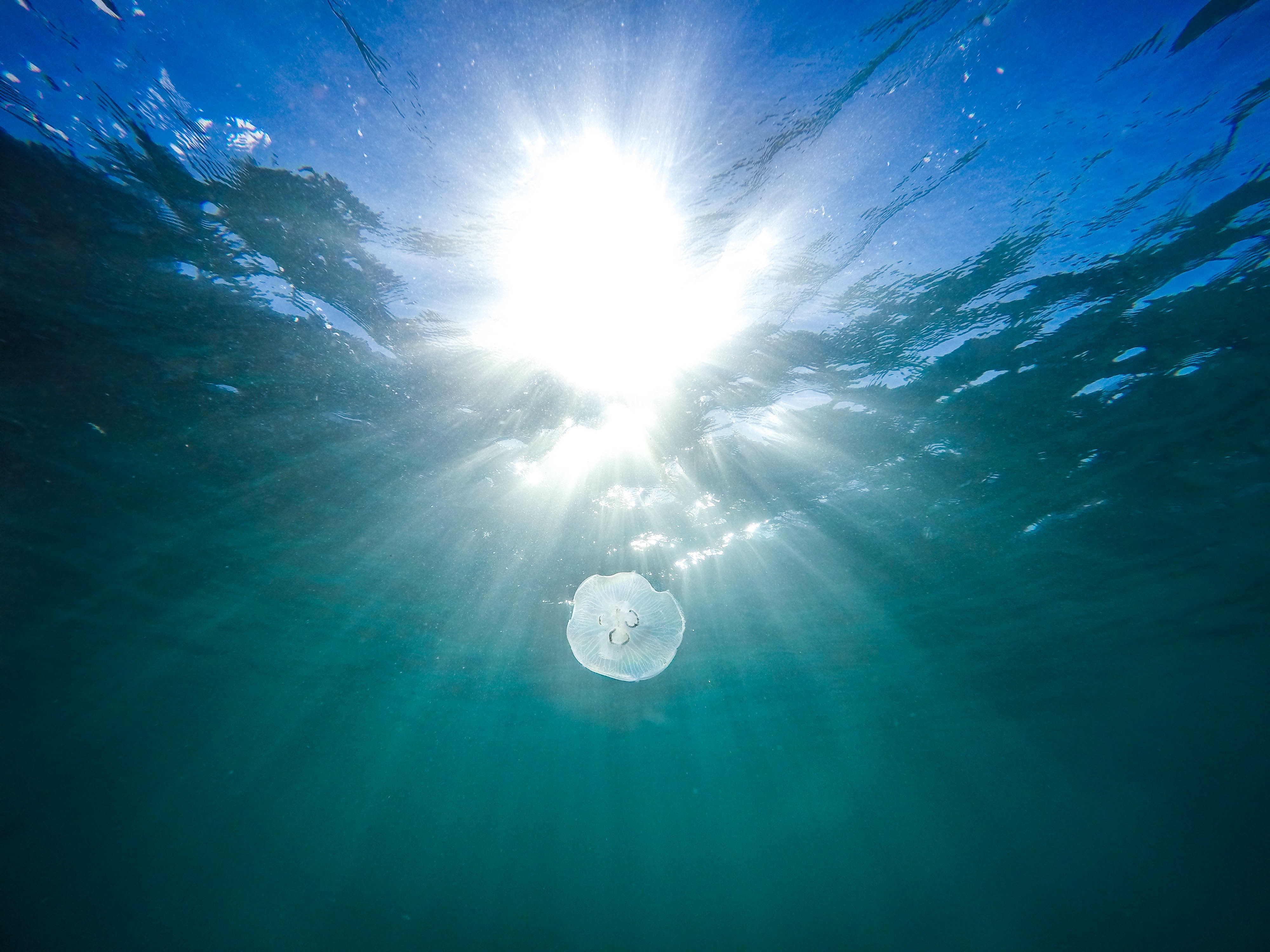 桌面上的壁纸海 水 视野