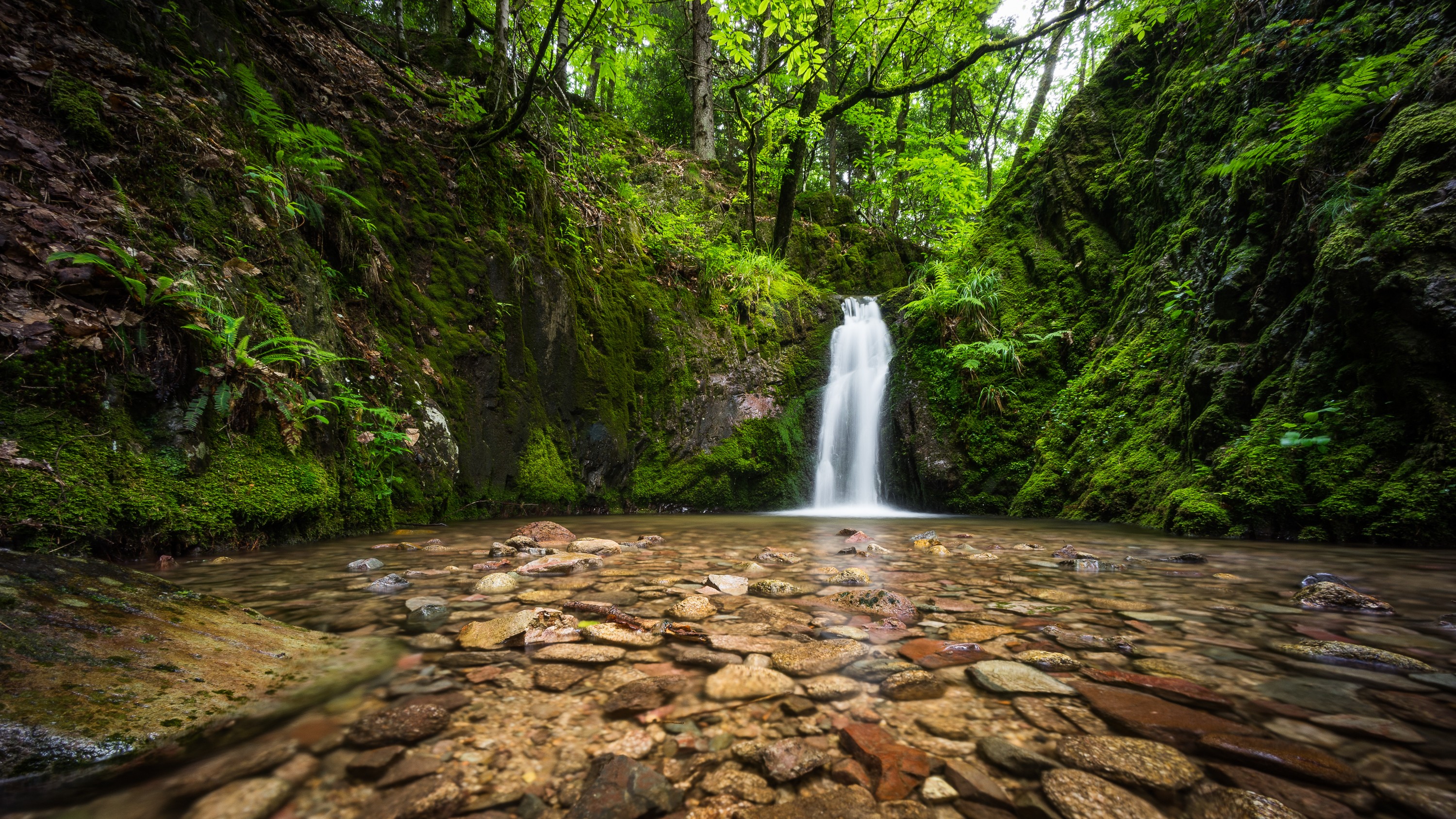 Free photo A small waterfall among the moss-covered rocks.