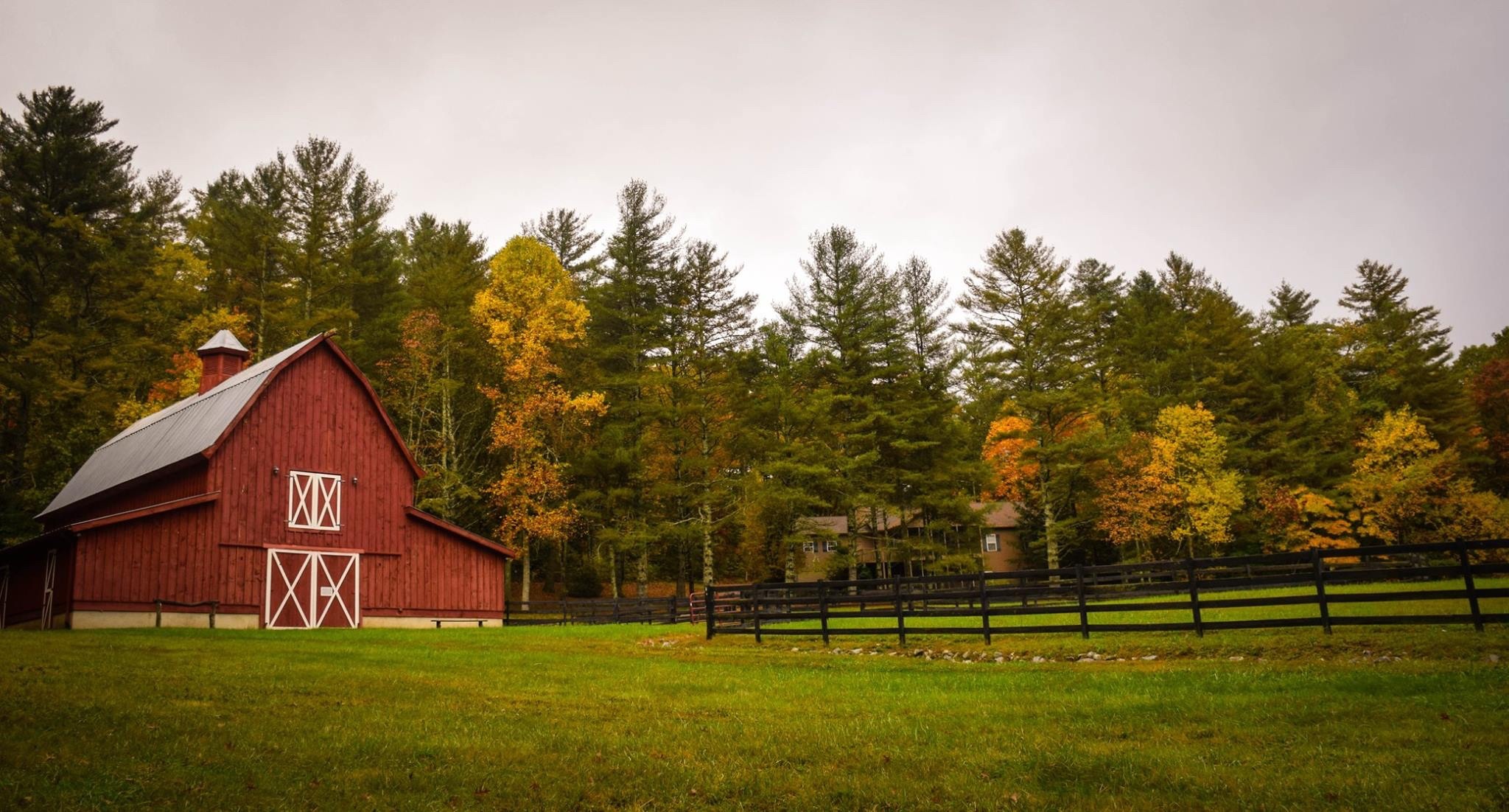 A farmhouse near the woods