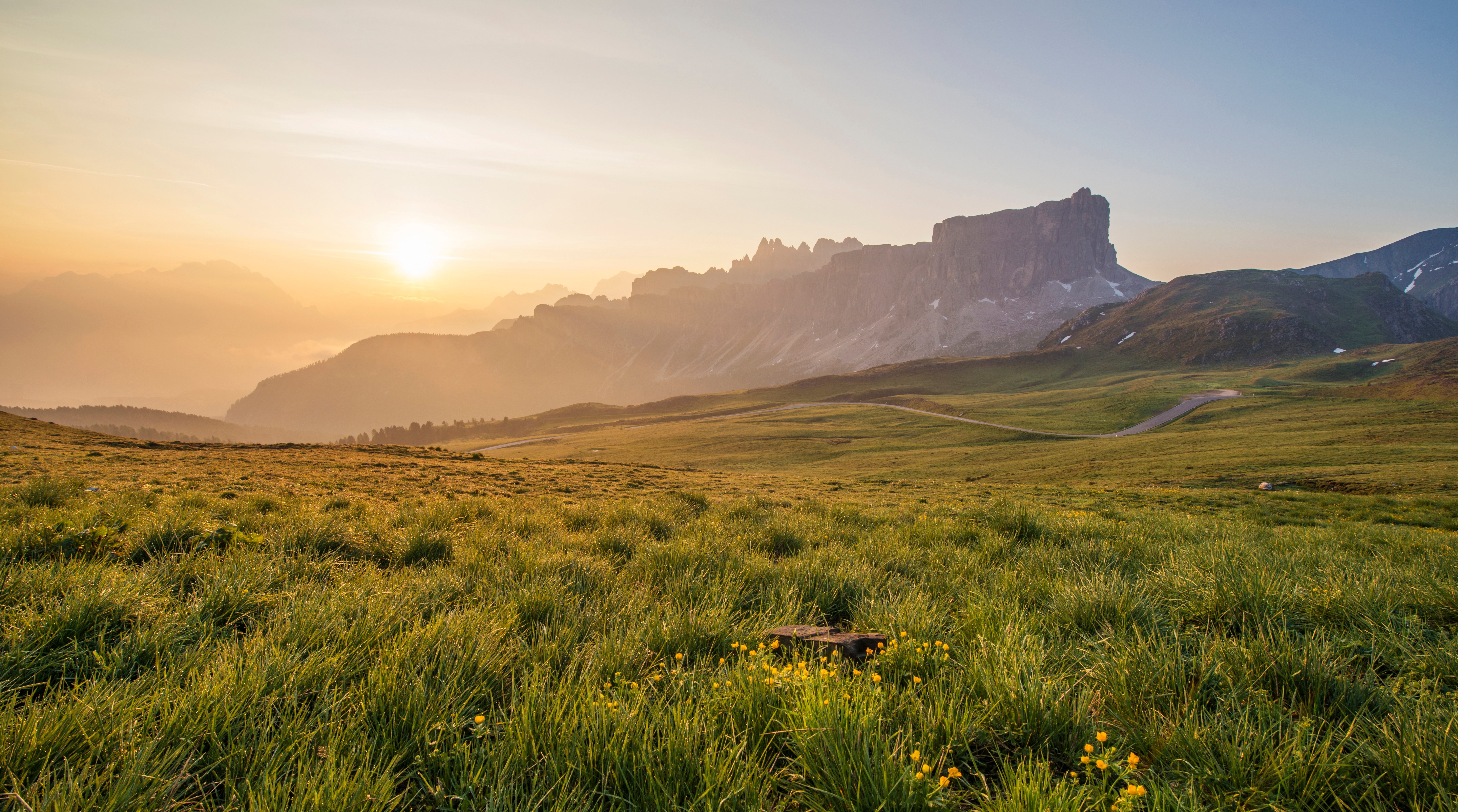 Wallpapers landscape nature grass on the desktop