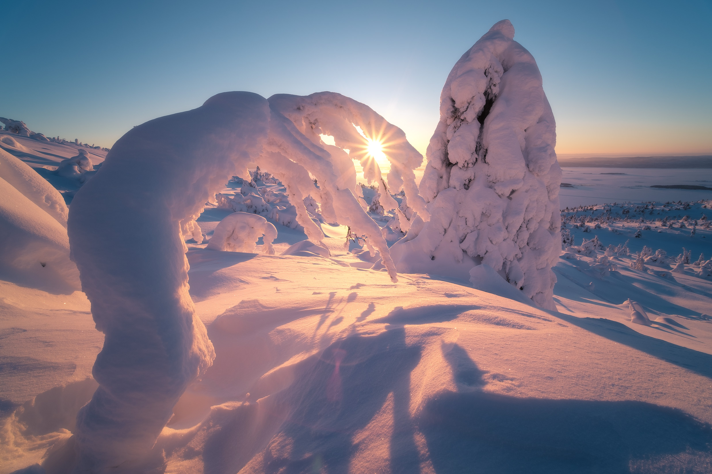 Free photo Snow Godzilla