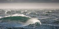 Серые волны