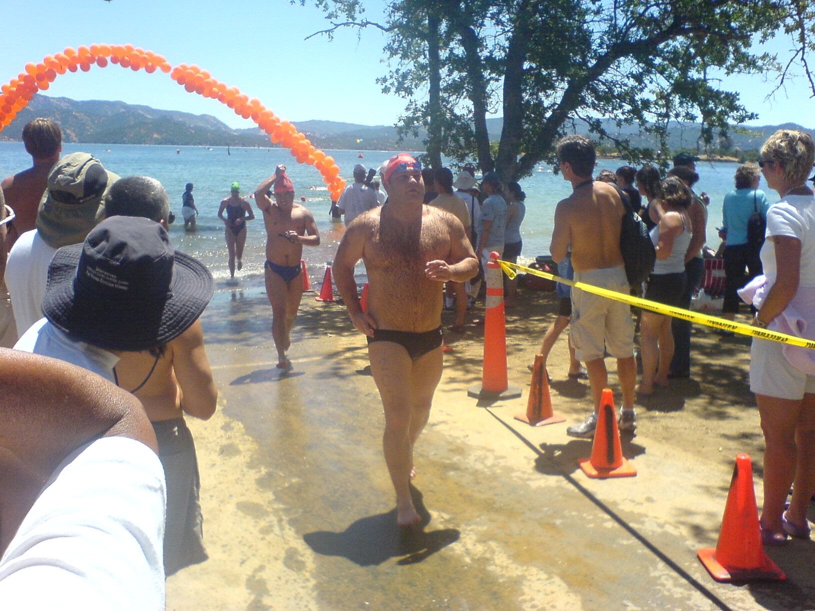 Обои медведь без рубашки волосатые на рабочий стол