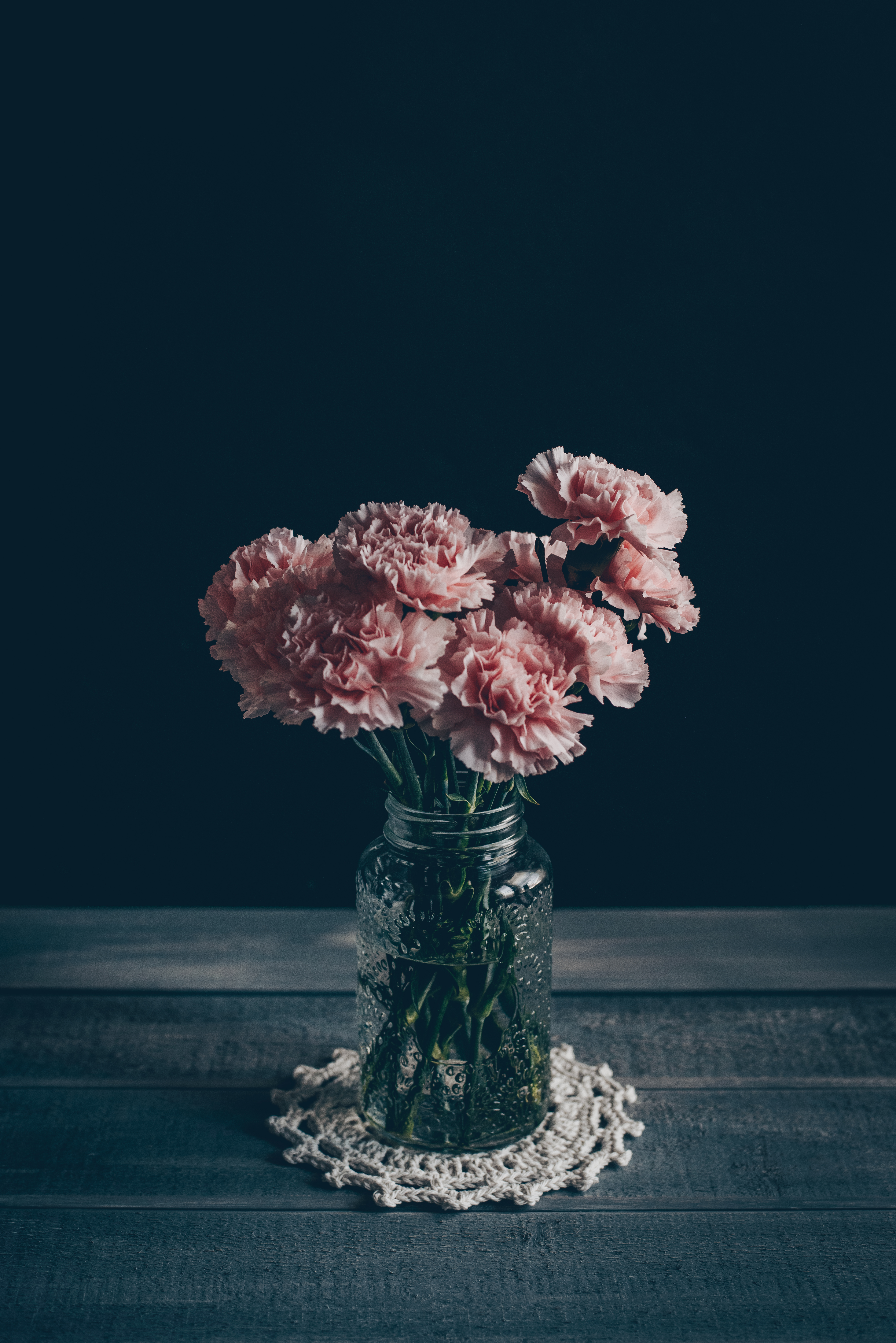 Wallpapers pink flowers carnation plants on the desktop