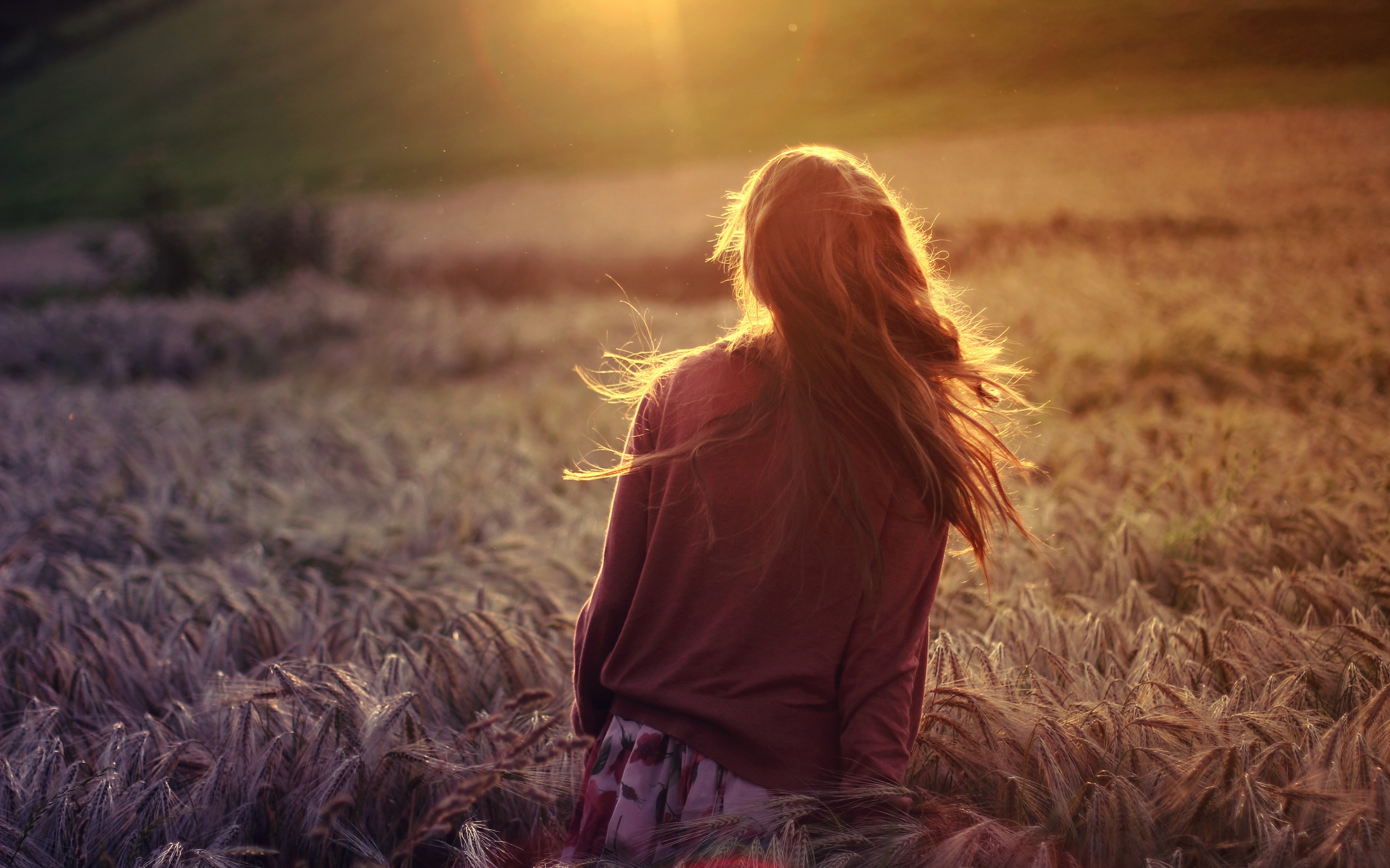 Wallpapers sunlight women sunset on the desktop