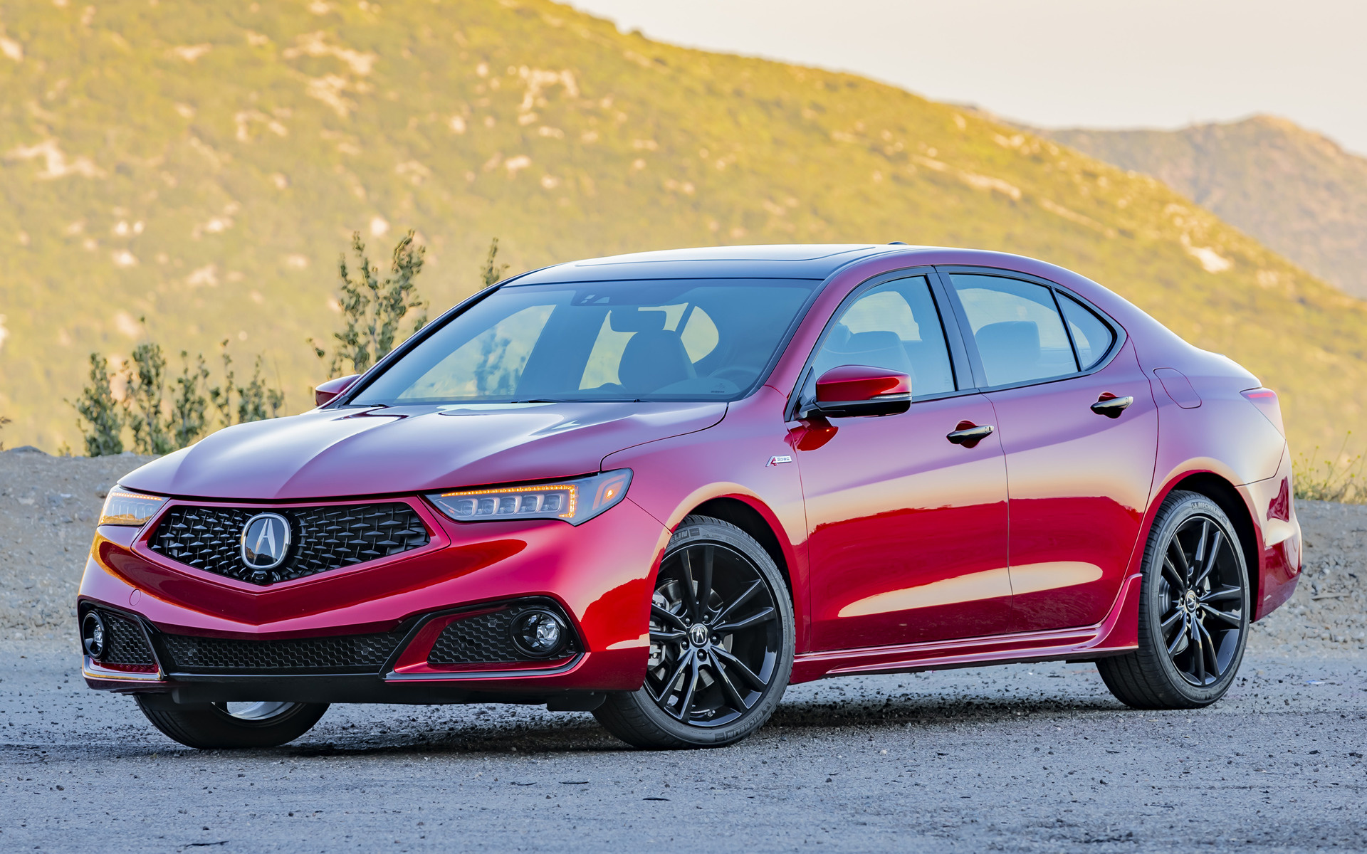 Free photo Acura tlx pmc edition