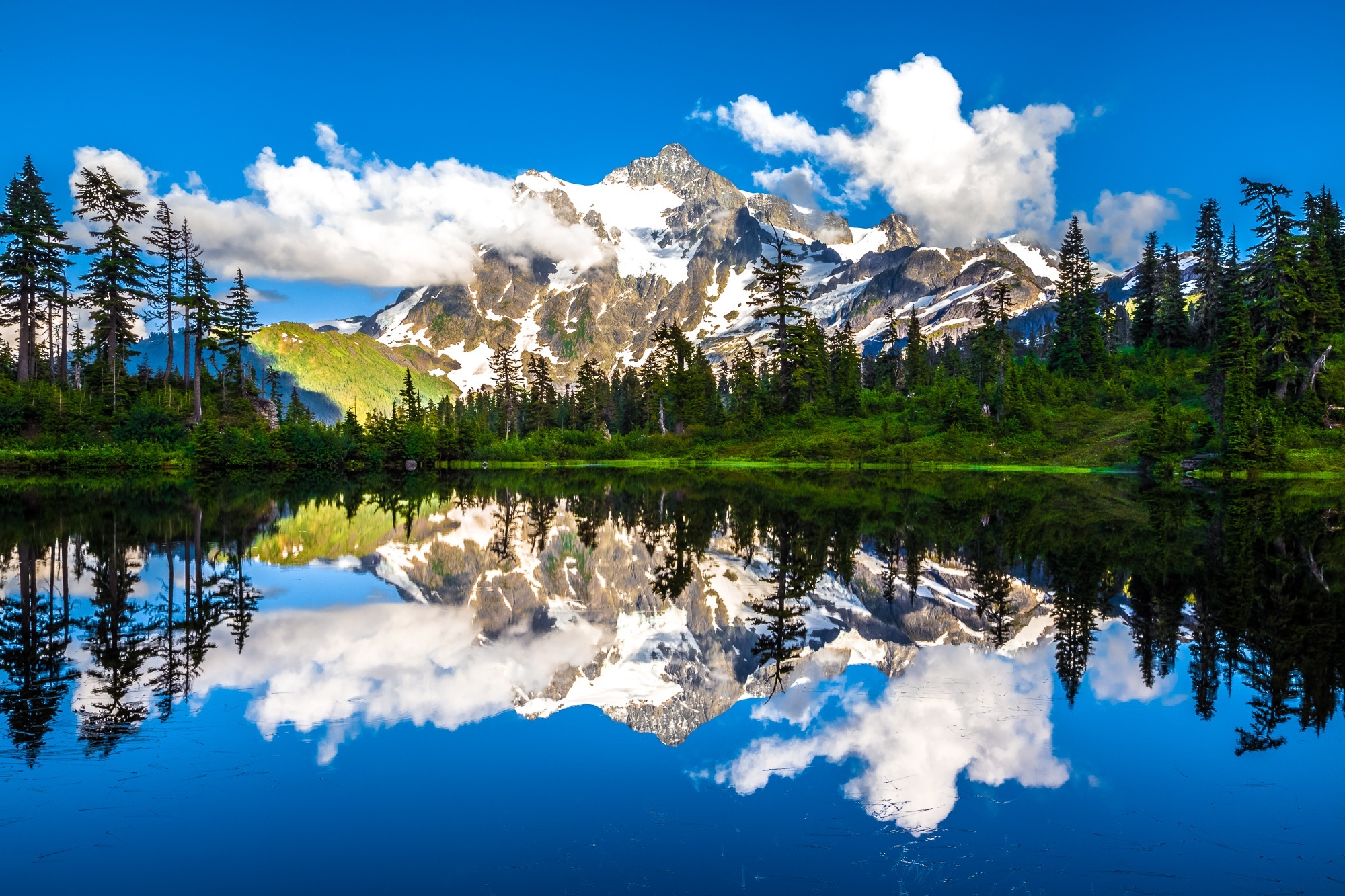 Free photo Beautiful summer landscape reflected in the lake