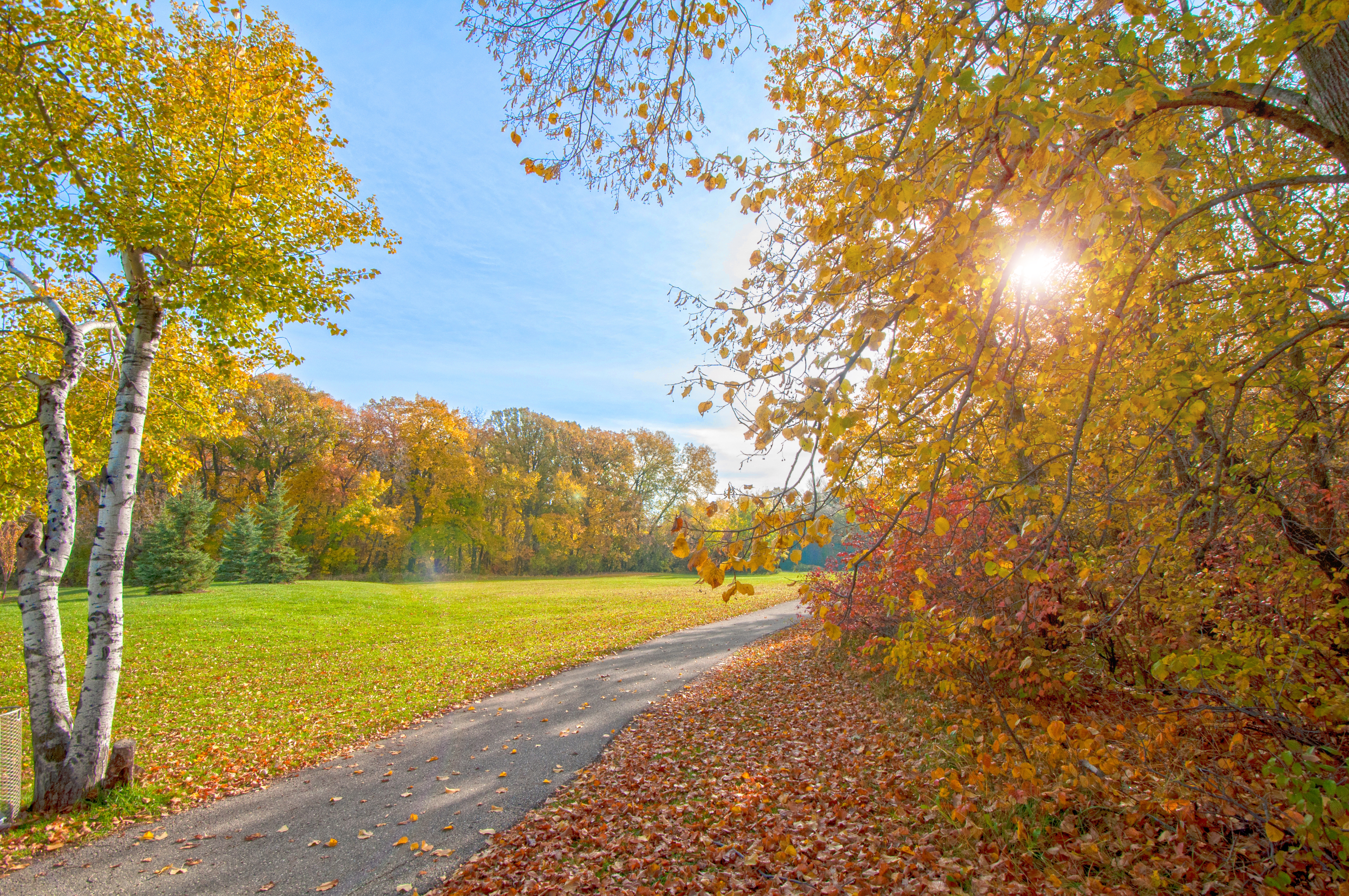 Wallpapers landscape autumn colors fallen leaves on the desktop