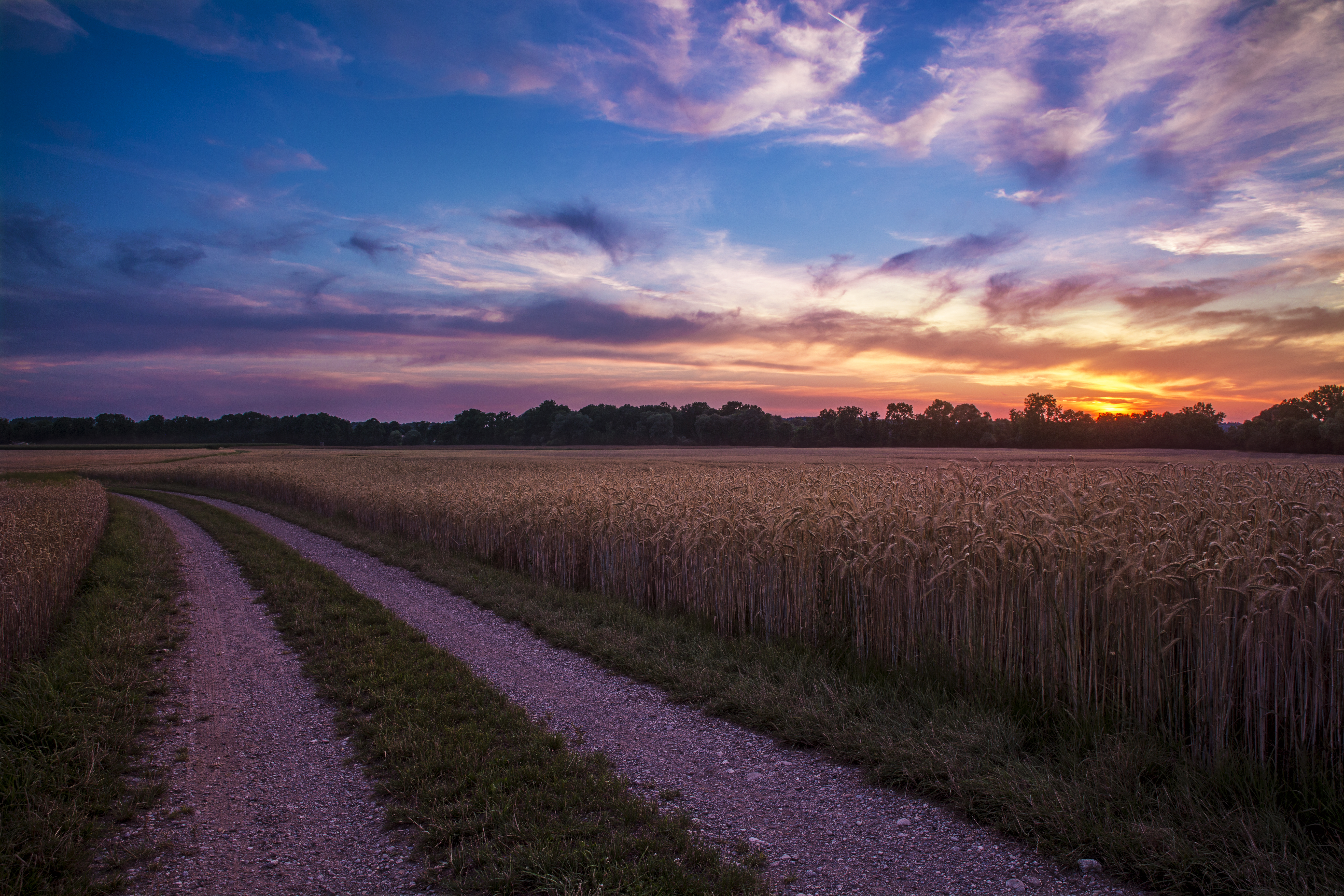 Wallpapers village road field dirt road on the desktop