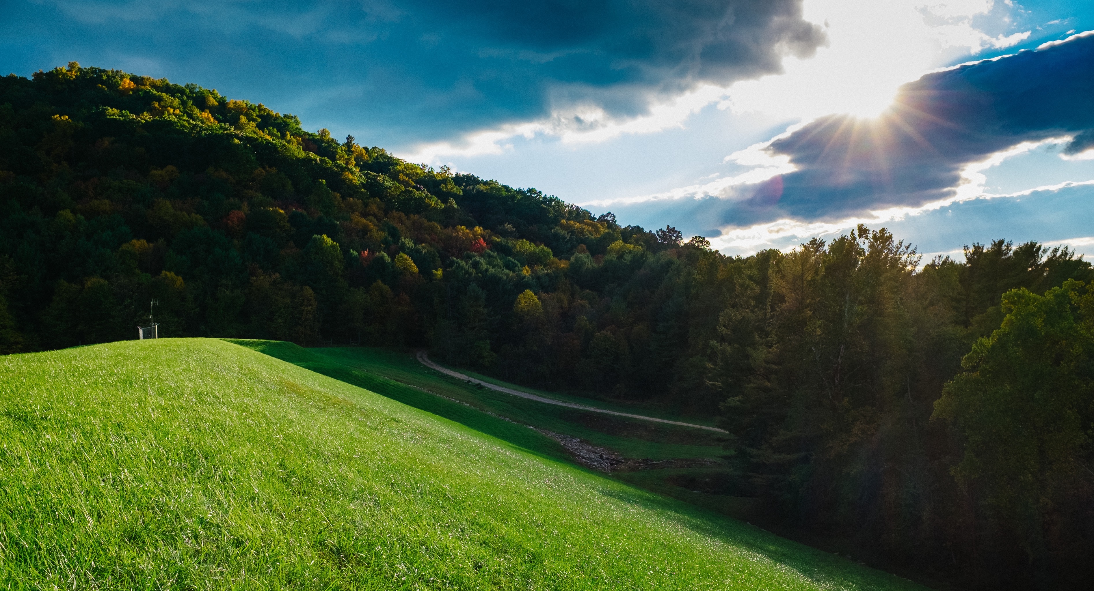 Wallpapers pasture horizon habitat on the desktop