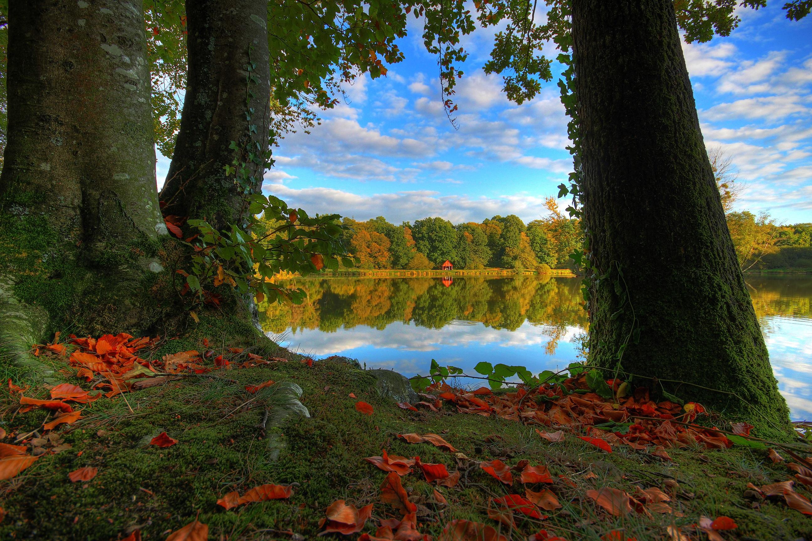桌面上的壁纸法国湖 秋季 树木