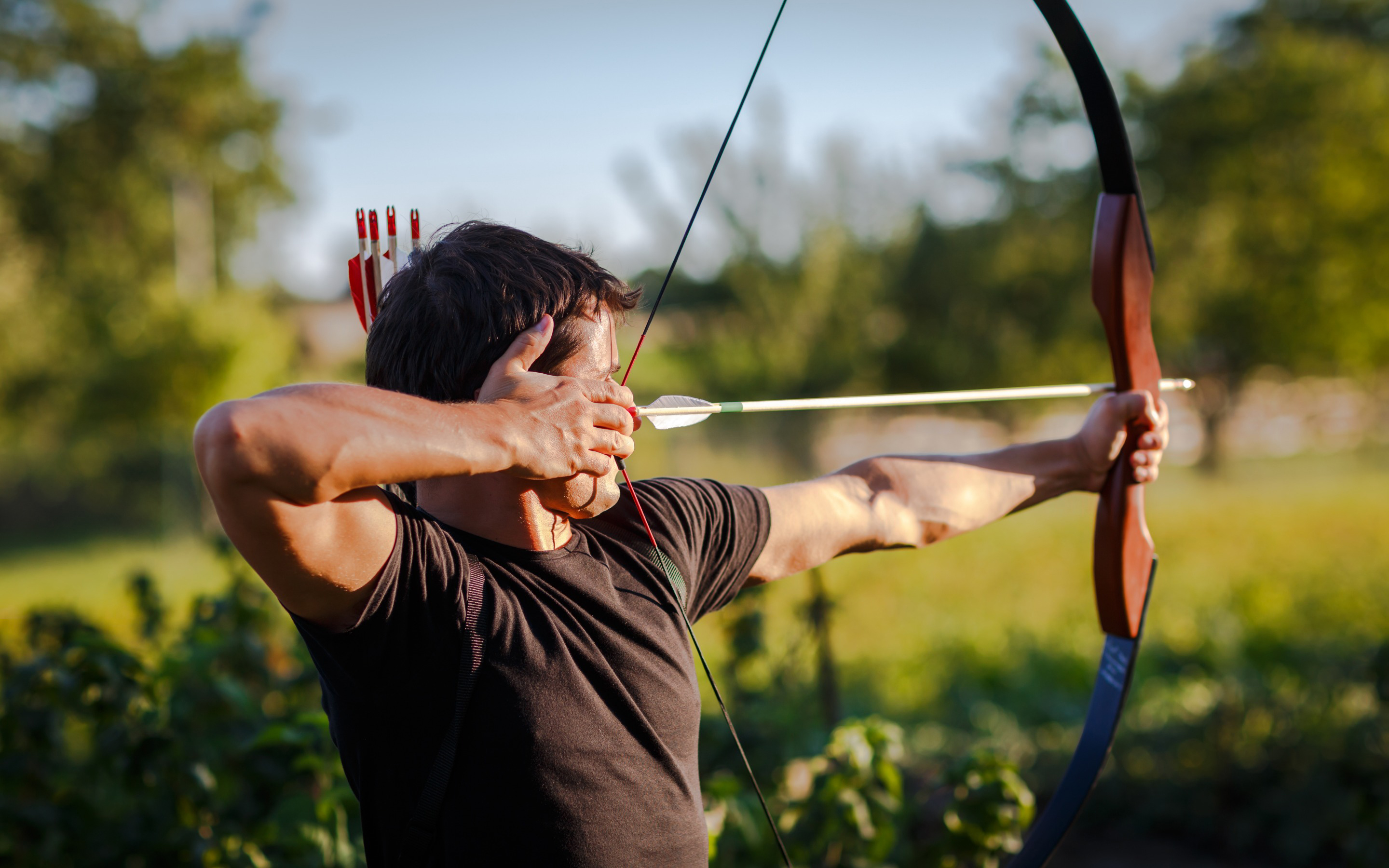 Wallpapers bow arrow man on the desktop