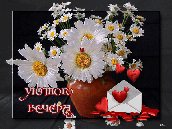 Postcard on the theme hearts bouquet of daisies envelope download for free
