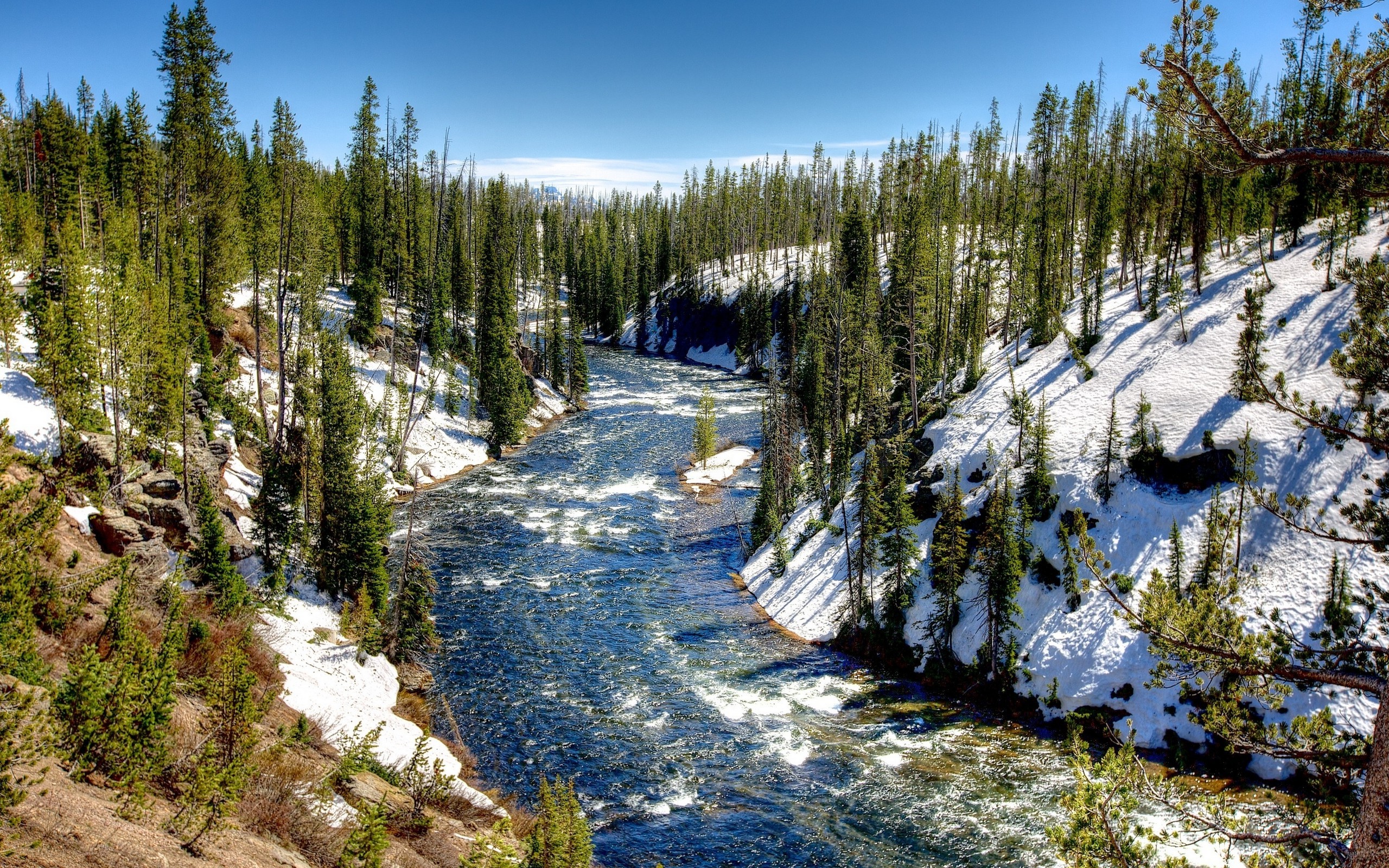 Wallpapers landscape forest lake on the desktop
