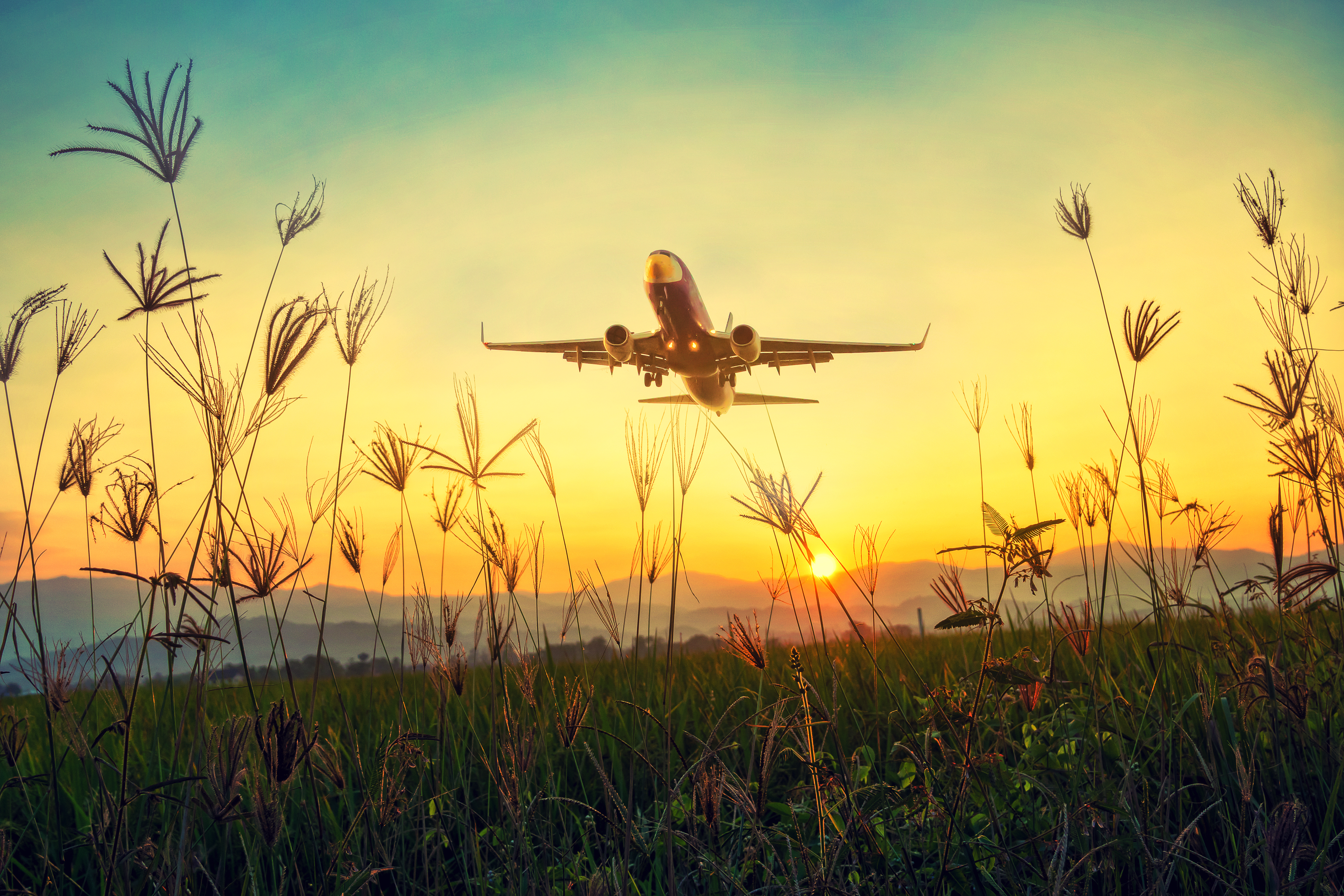 Free photo A picture of an airplane flying low over a green field at sunset.