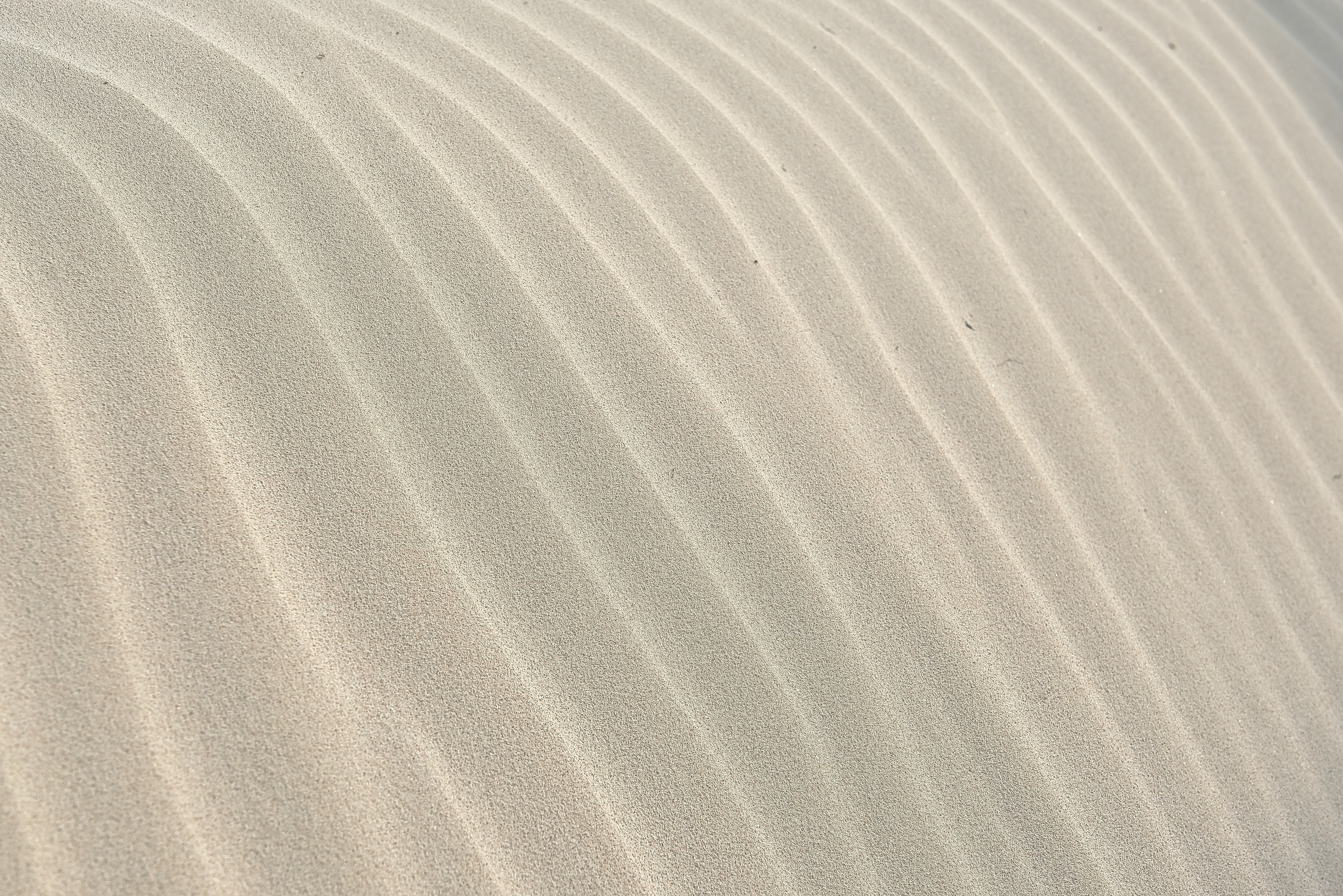 Wallpapers sand white texture on the desktop