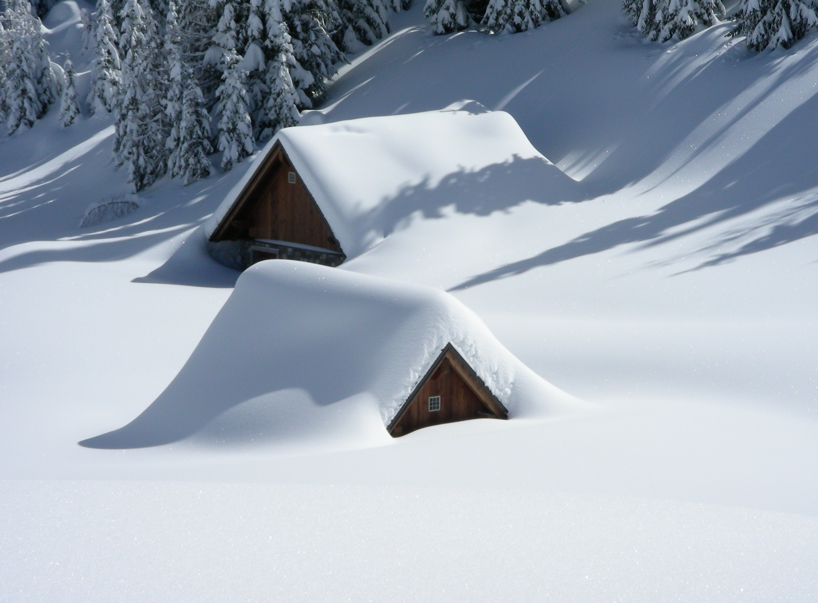 房屋被积雪覆盖，直至屋顶。