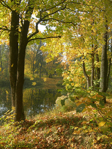 Открытка на тему пейзажи листопад пейзаж скачать бесплатно