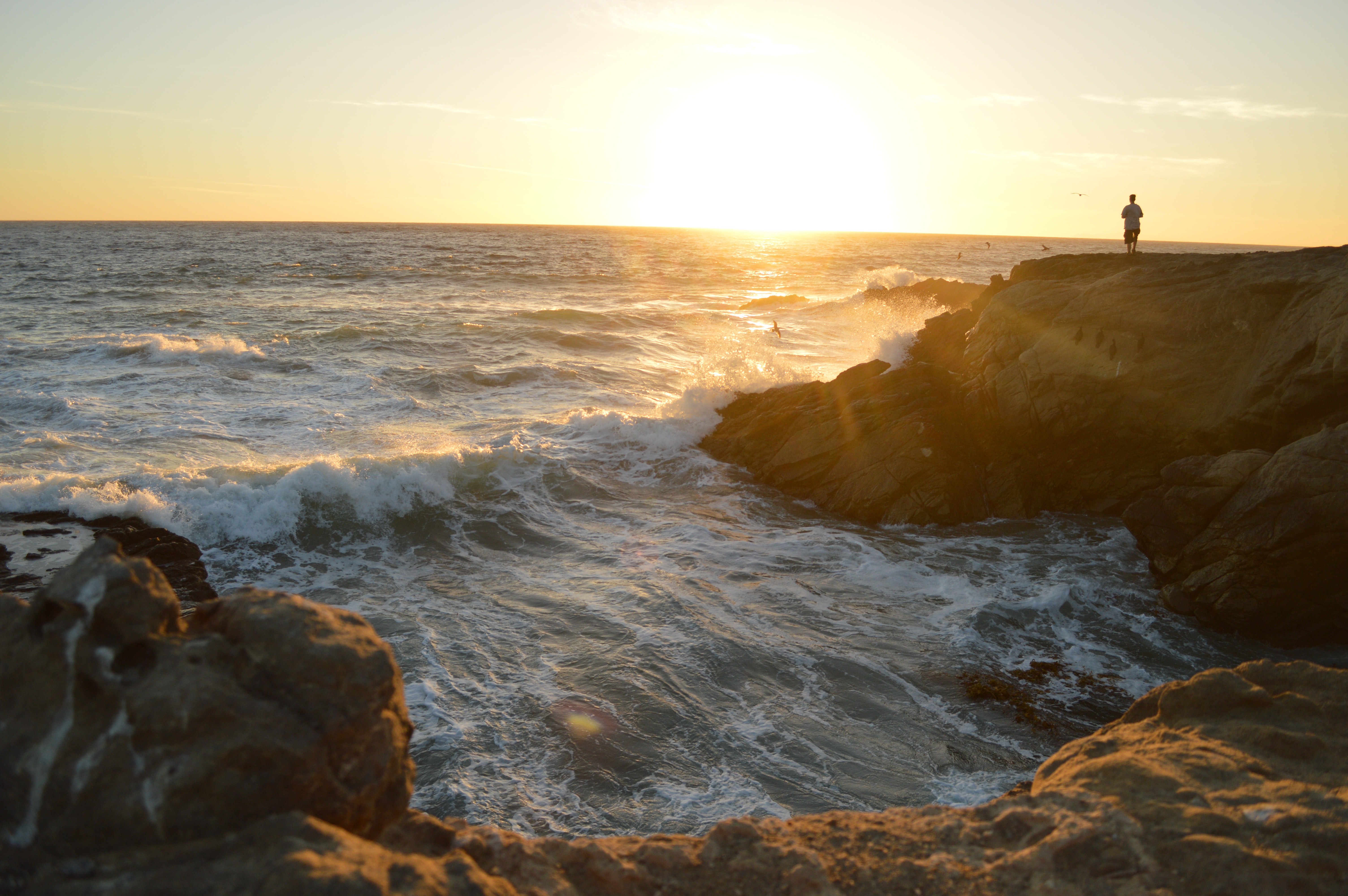 Wallpapers beach sea coast on the desktop