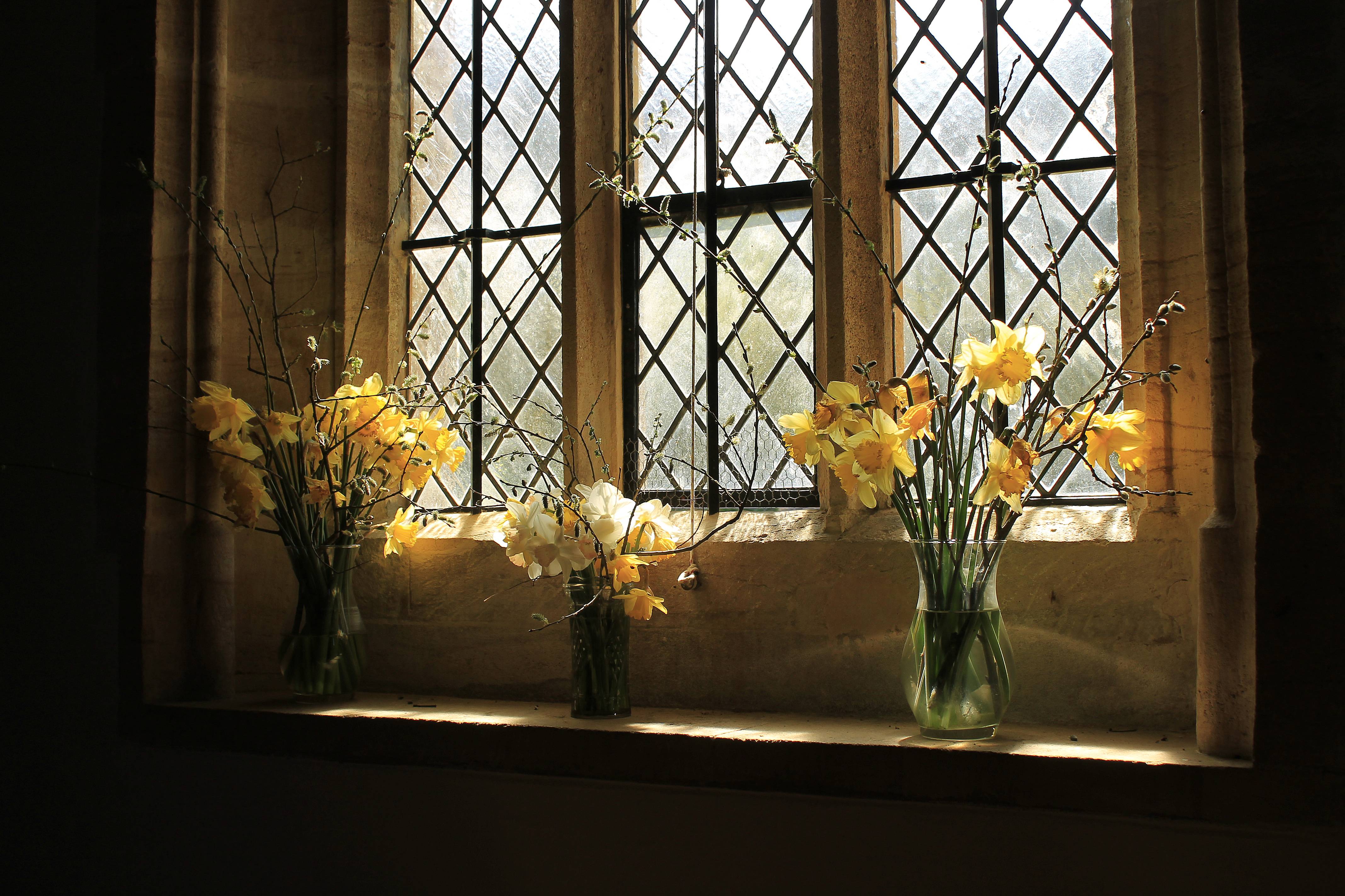 Wallpapers window vase flowers on the desktop