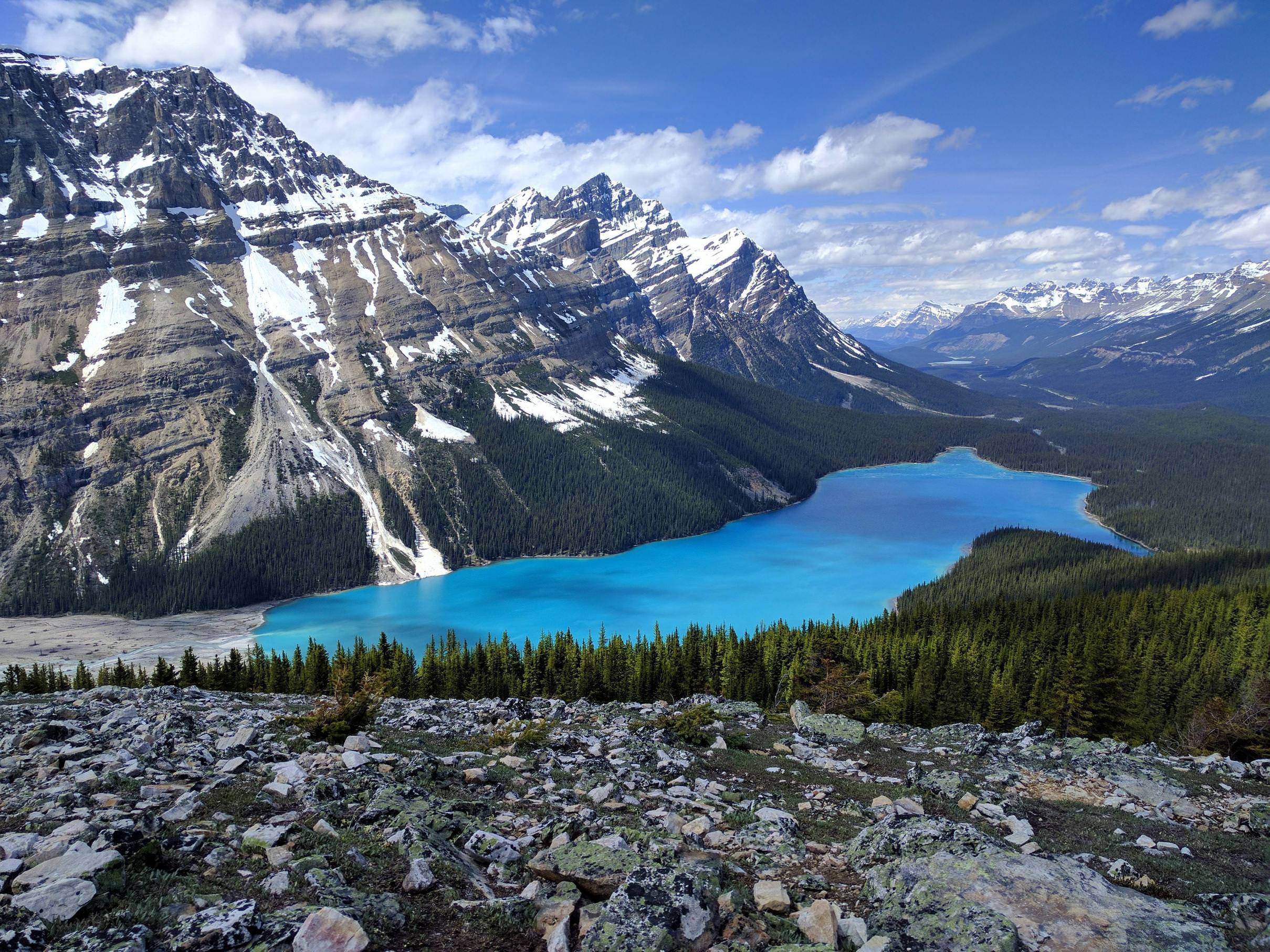 Wallpapers Peyto lake Alberta landscape on the desktop