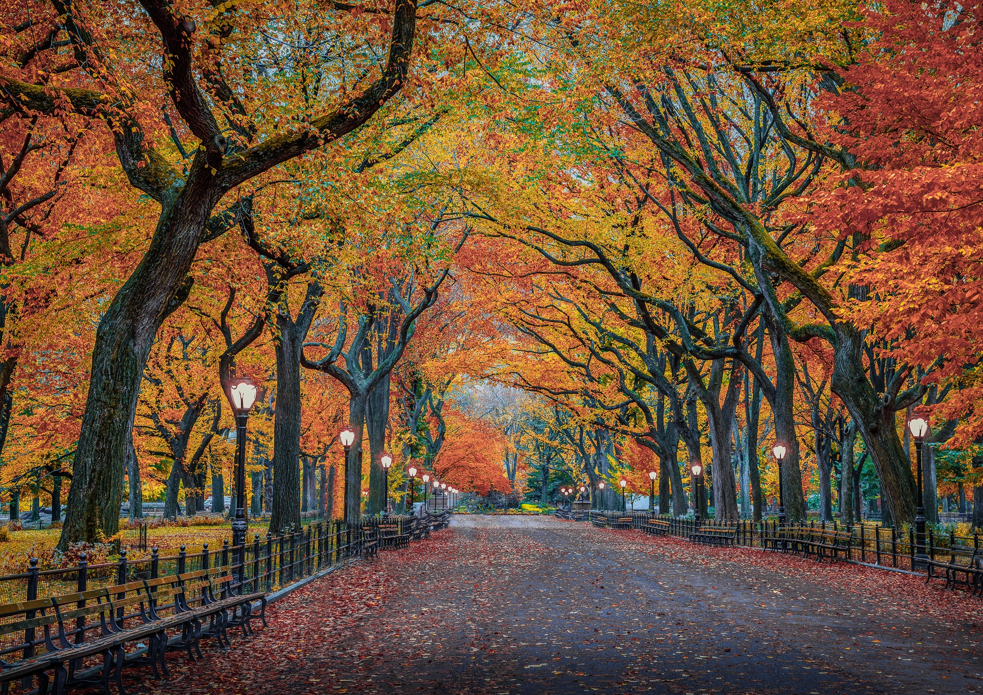 桌面上的壁纸园区 秋季 纽约