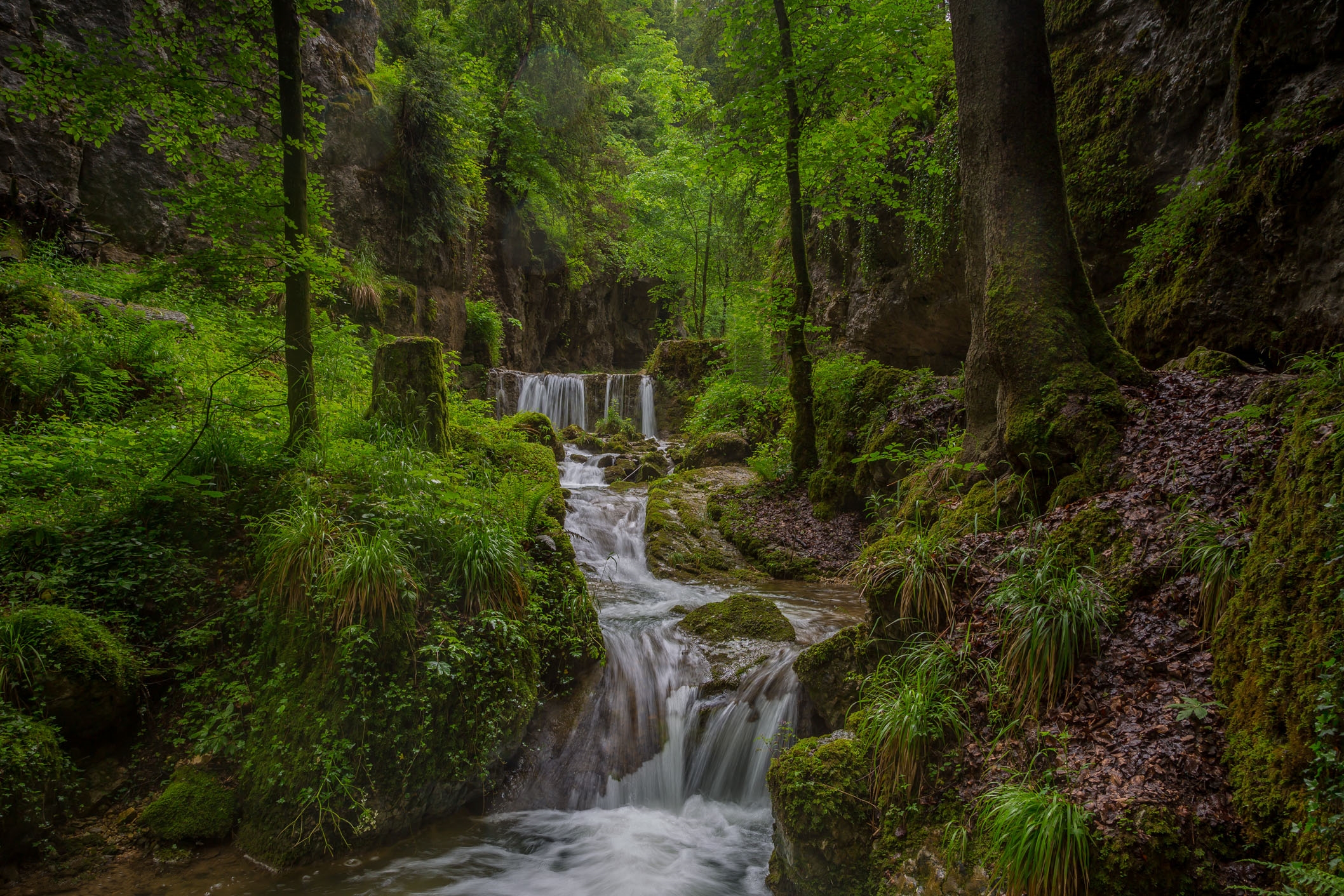 Wallpapers summer Creek river on the desktop