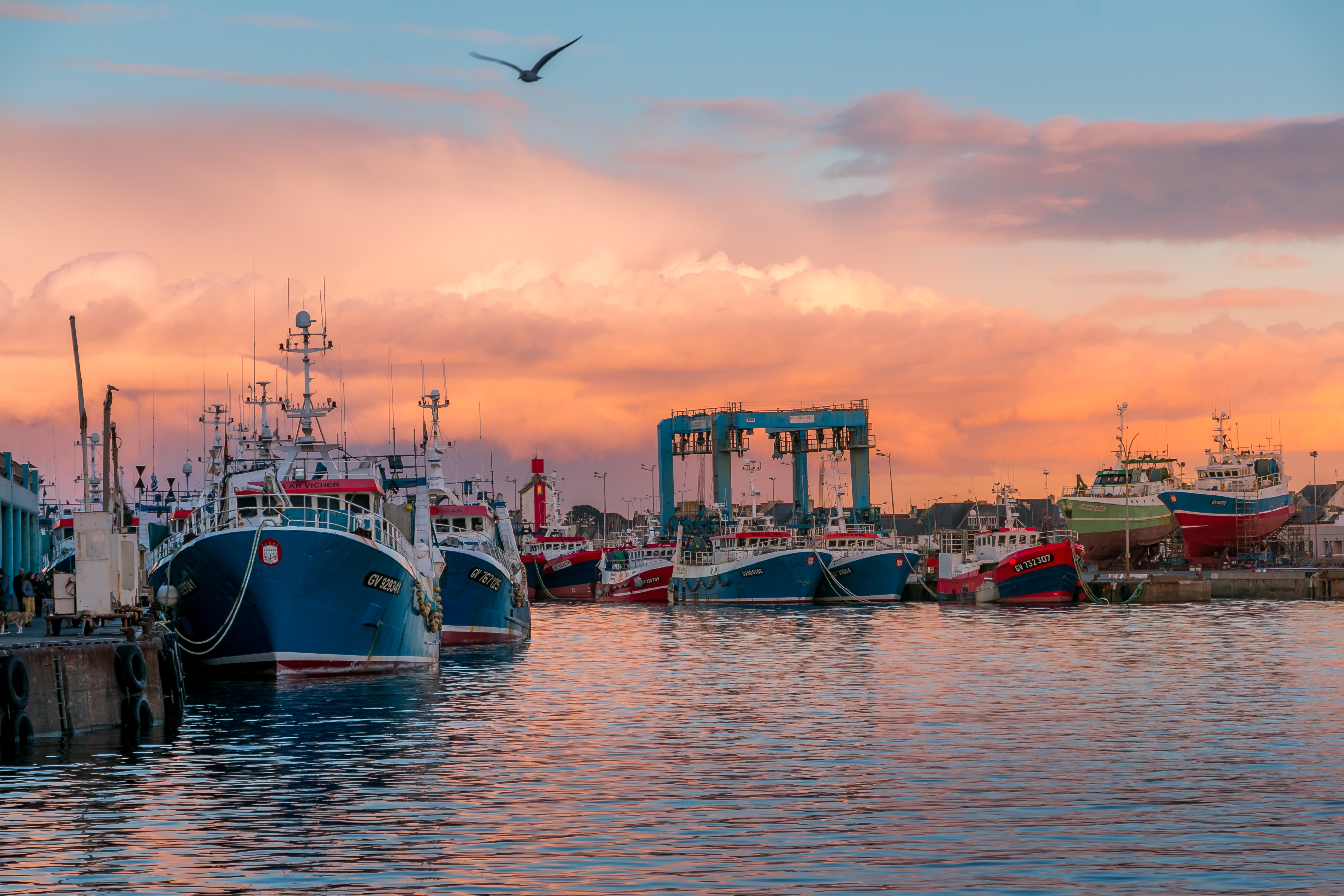 Free photo Ships in port at sunset