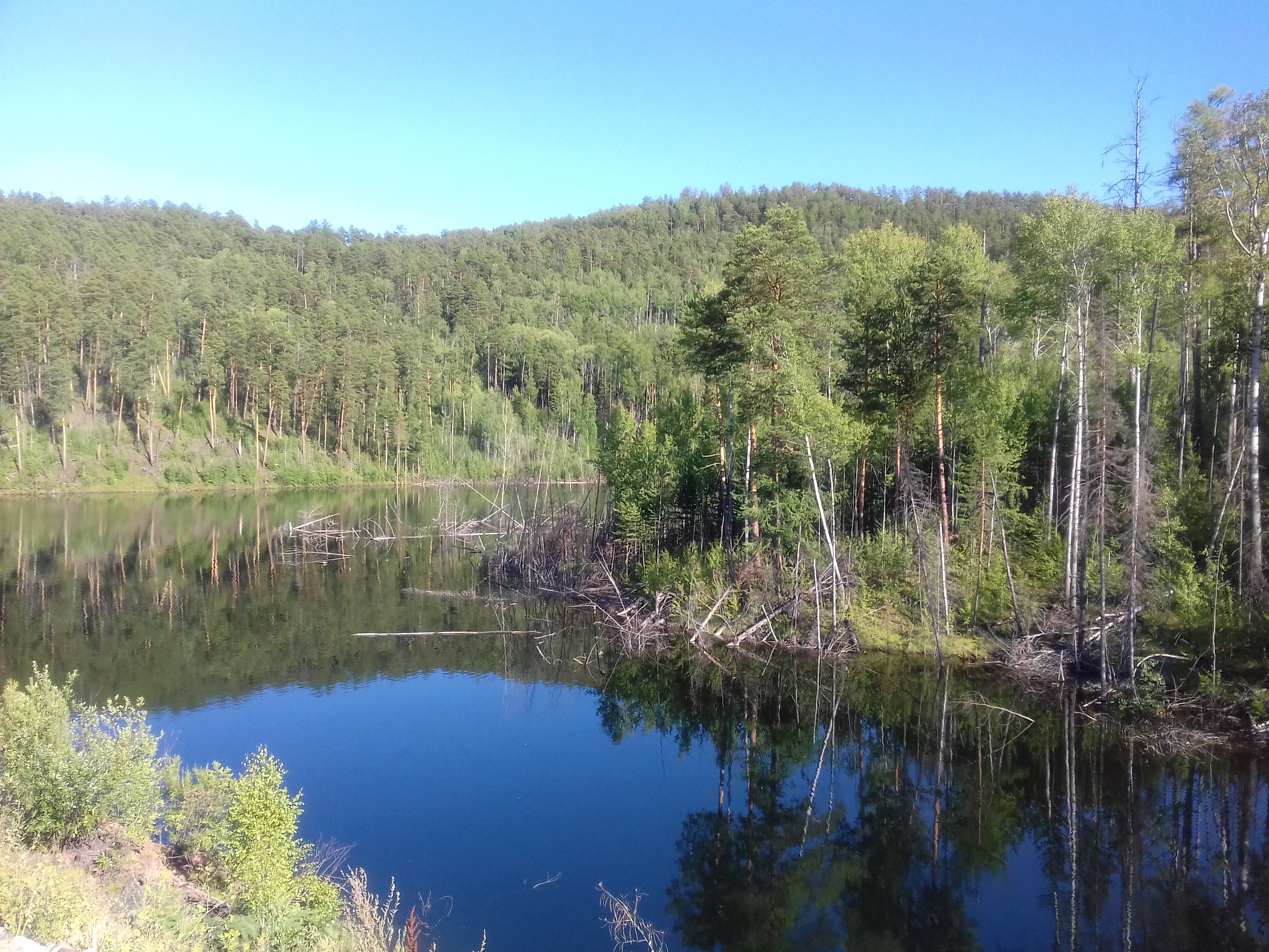 Free photo Silent river in Siberia on a summer day in the woods
