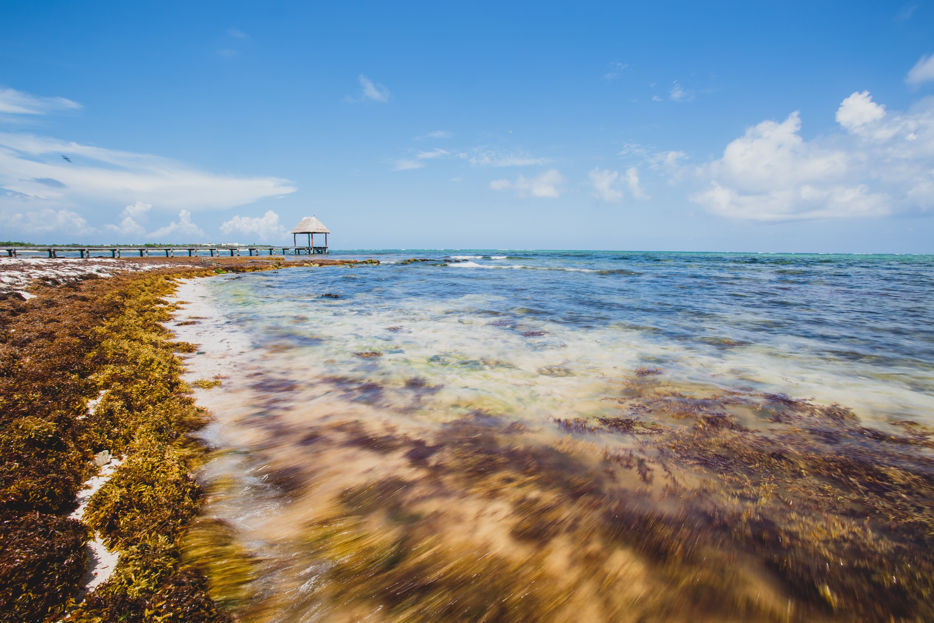 桌面上的壁纸海滩 景观 海