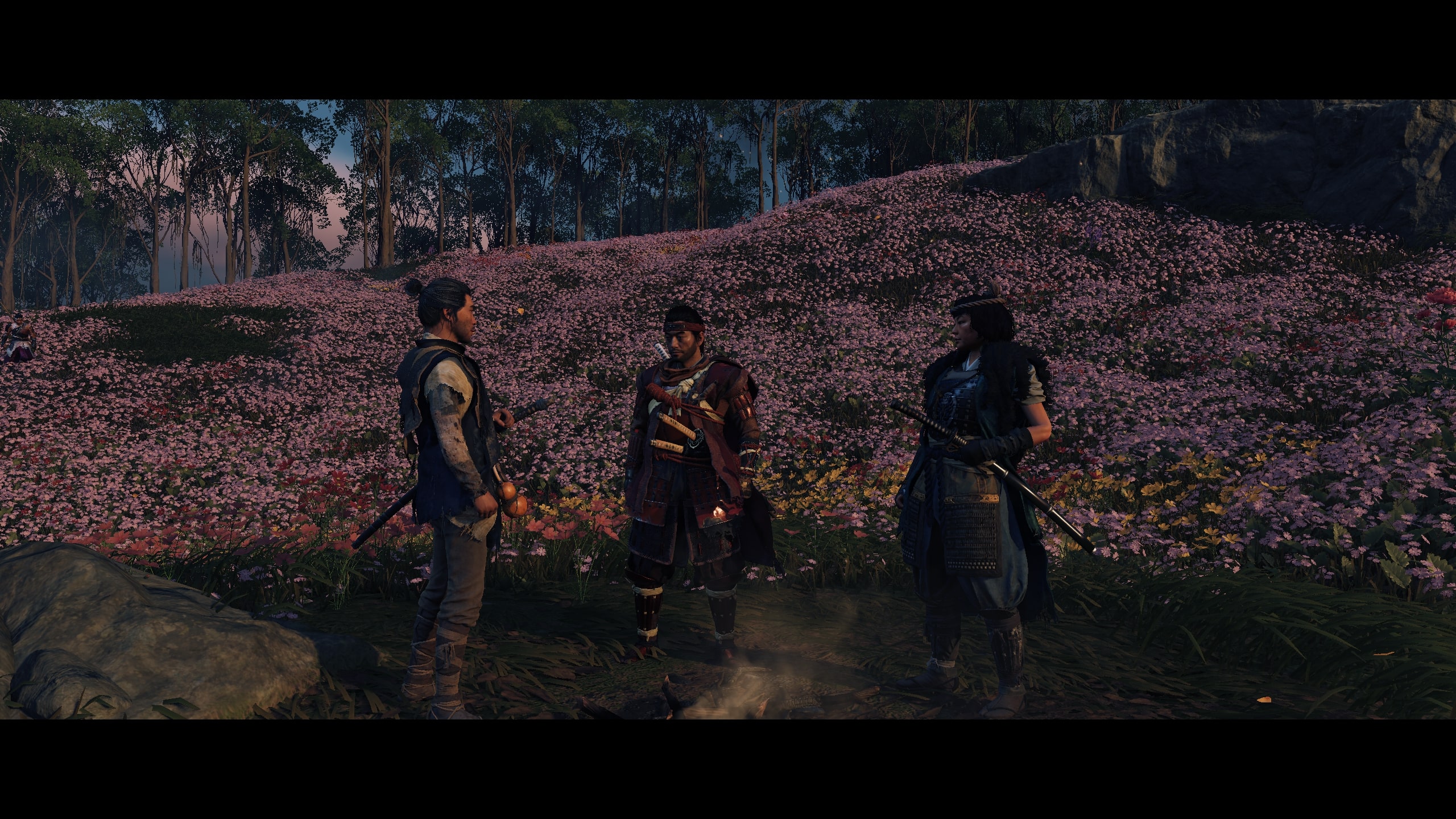 免费照片对马岛的幽灵16