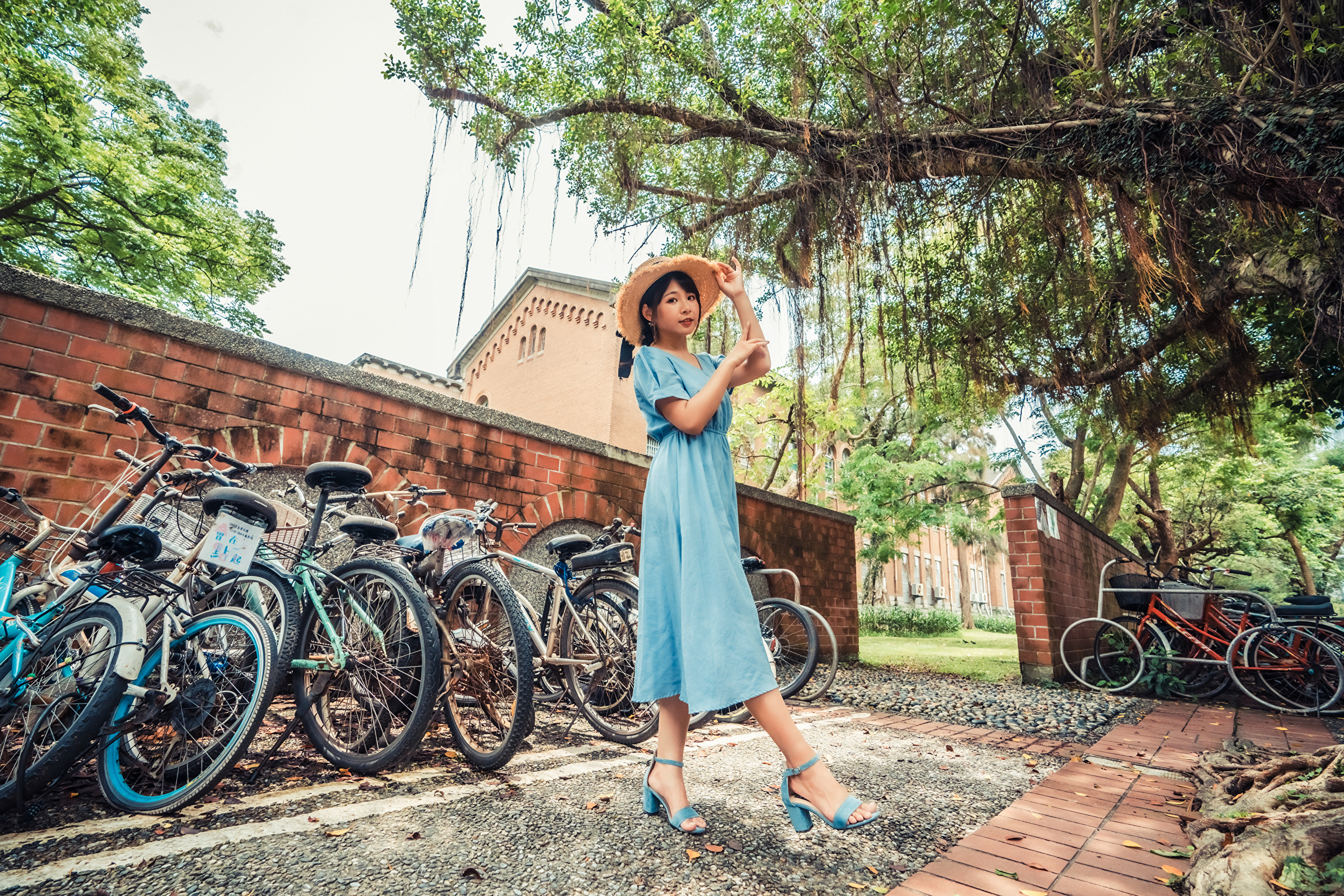 Wallpapers woman bicycle hat on the desktop