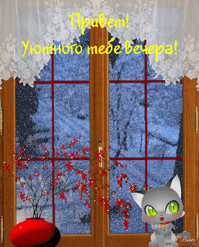 主题为猫咪 晚上好 小猫的明信片免费下载