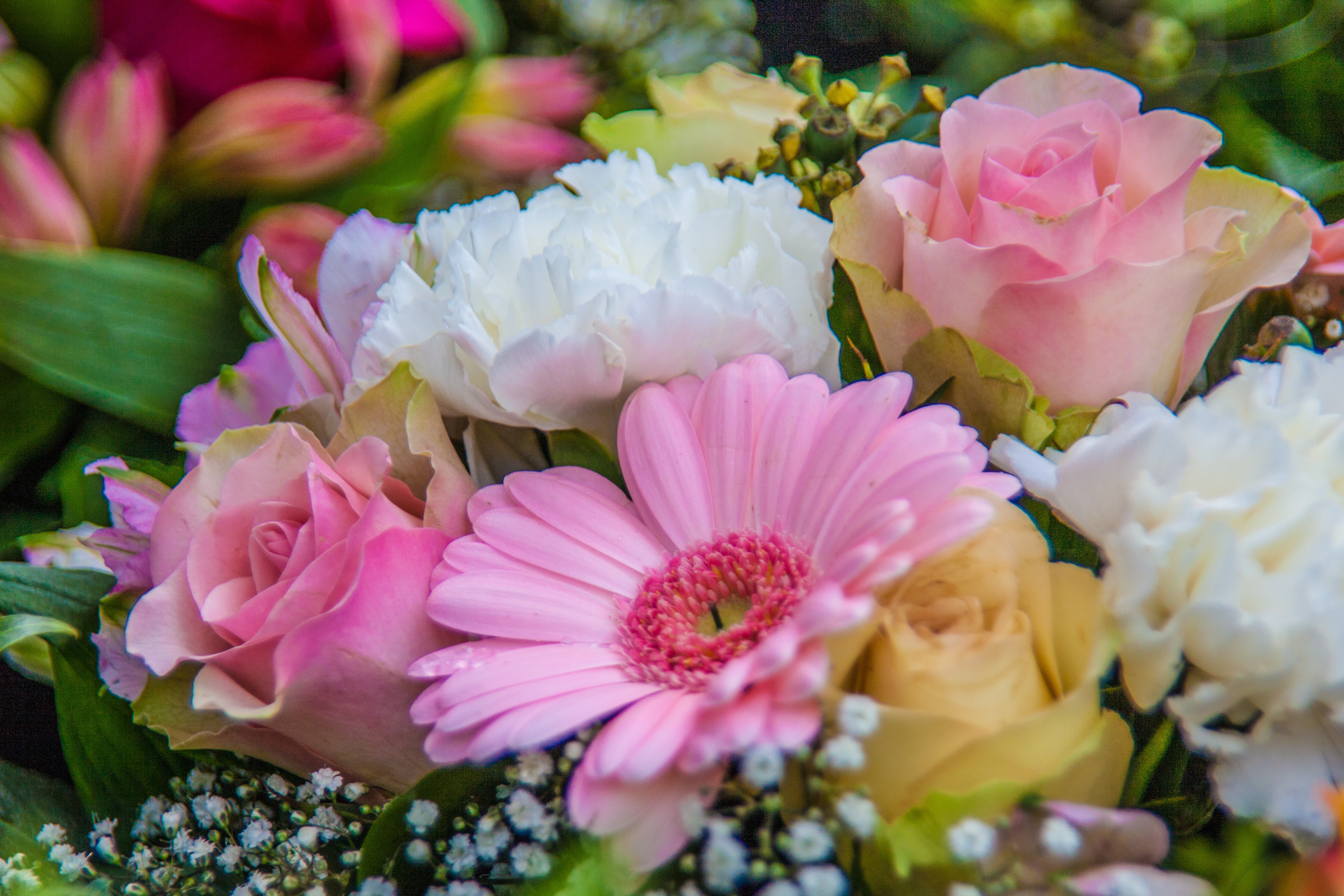 Бесплатное фото Нежный букет цветов
